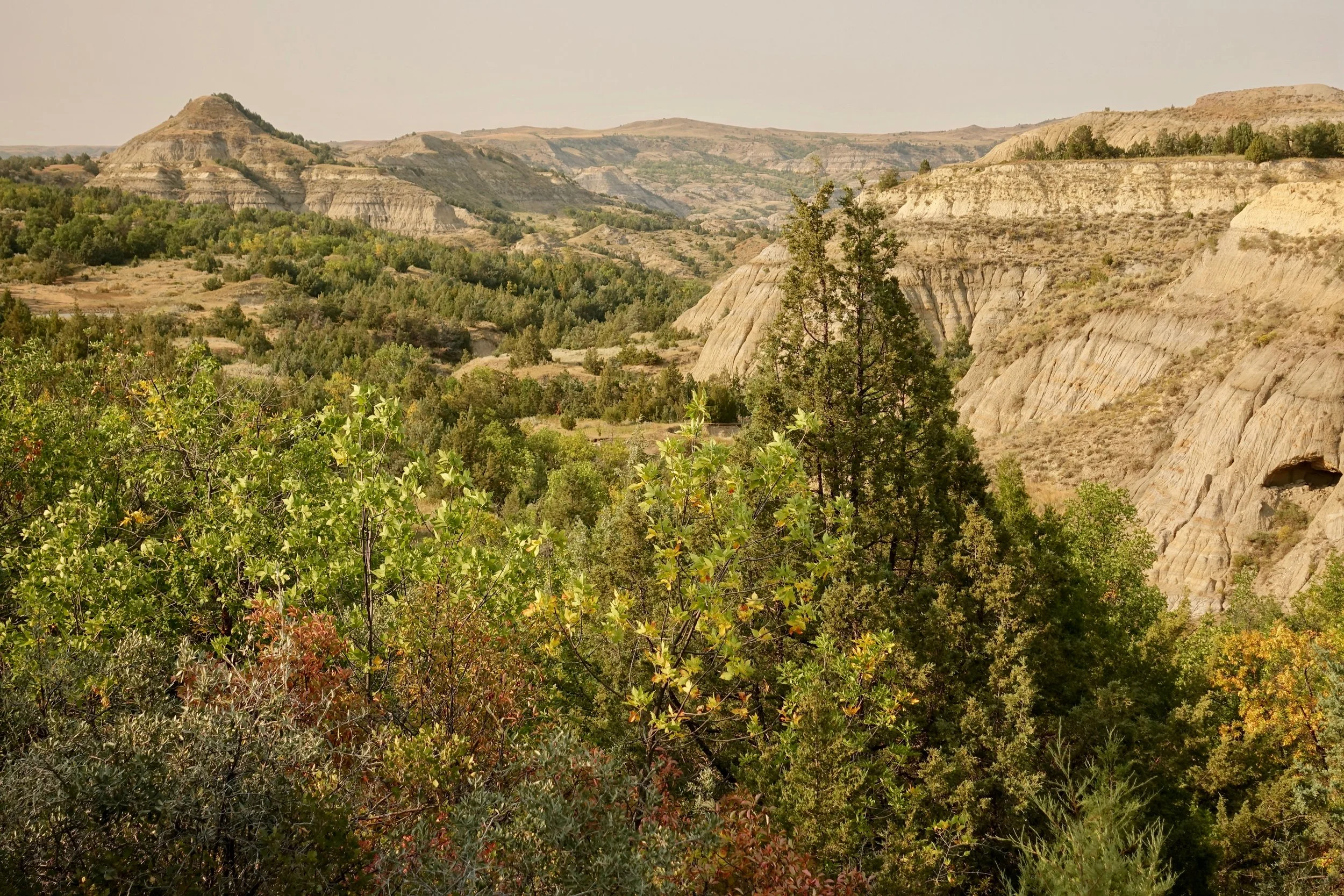 North Dakotas badlands on the Maah Daah Hey Trail hike