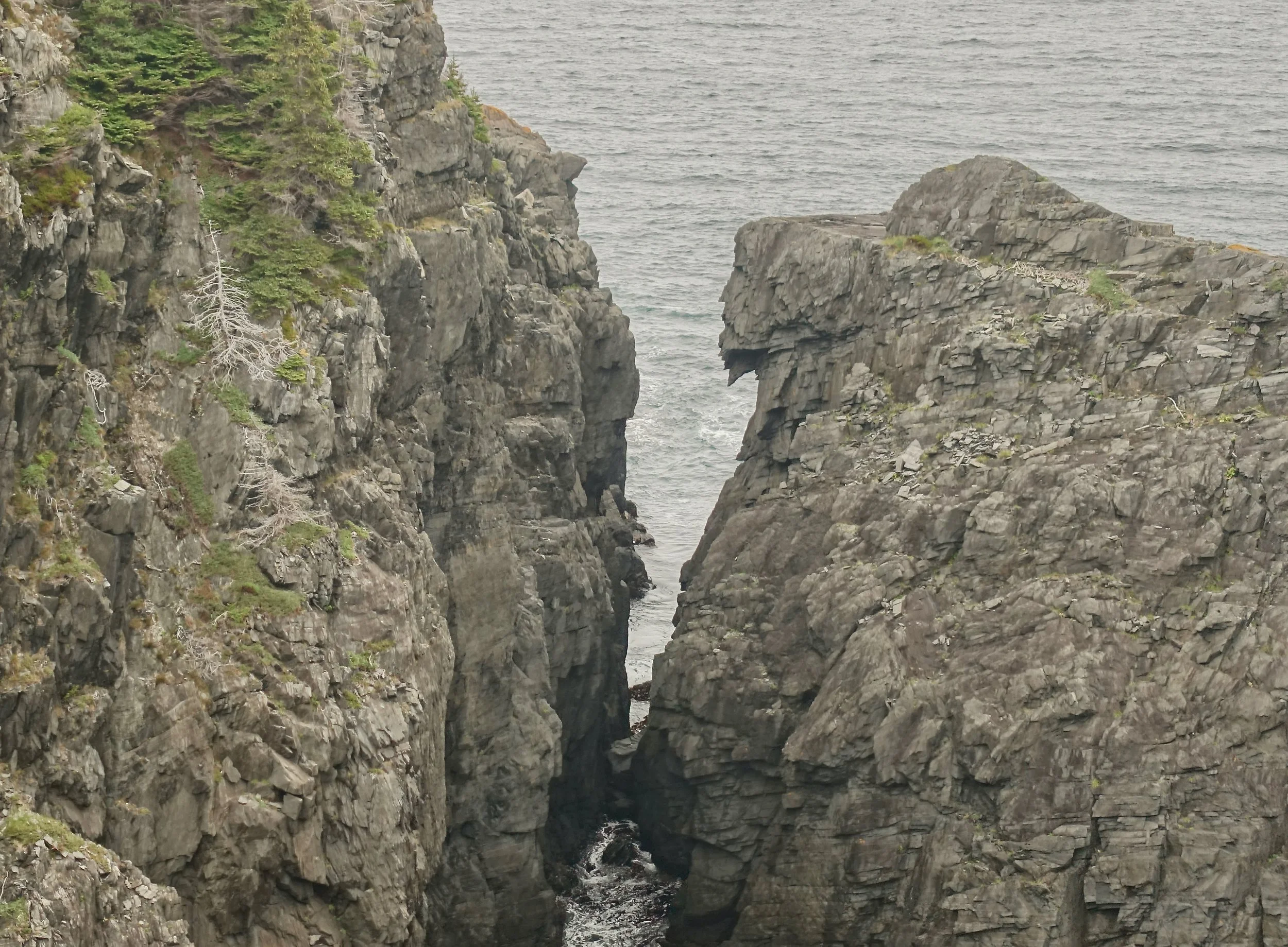 Grumpy Man rock on the East Coast Trail in Canada