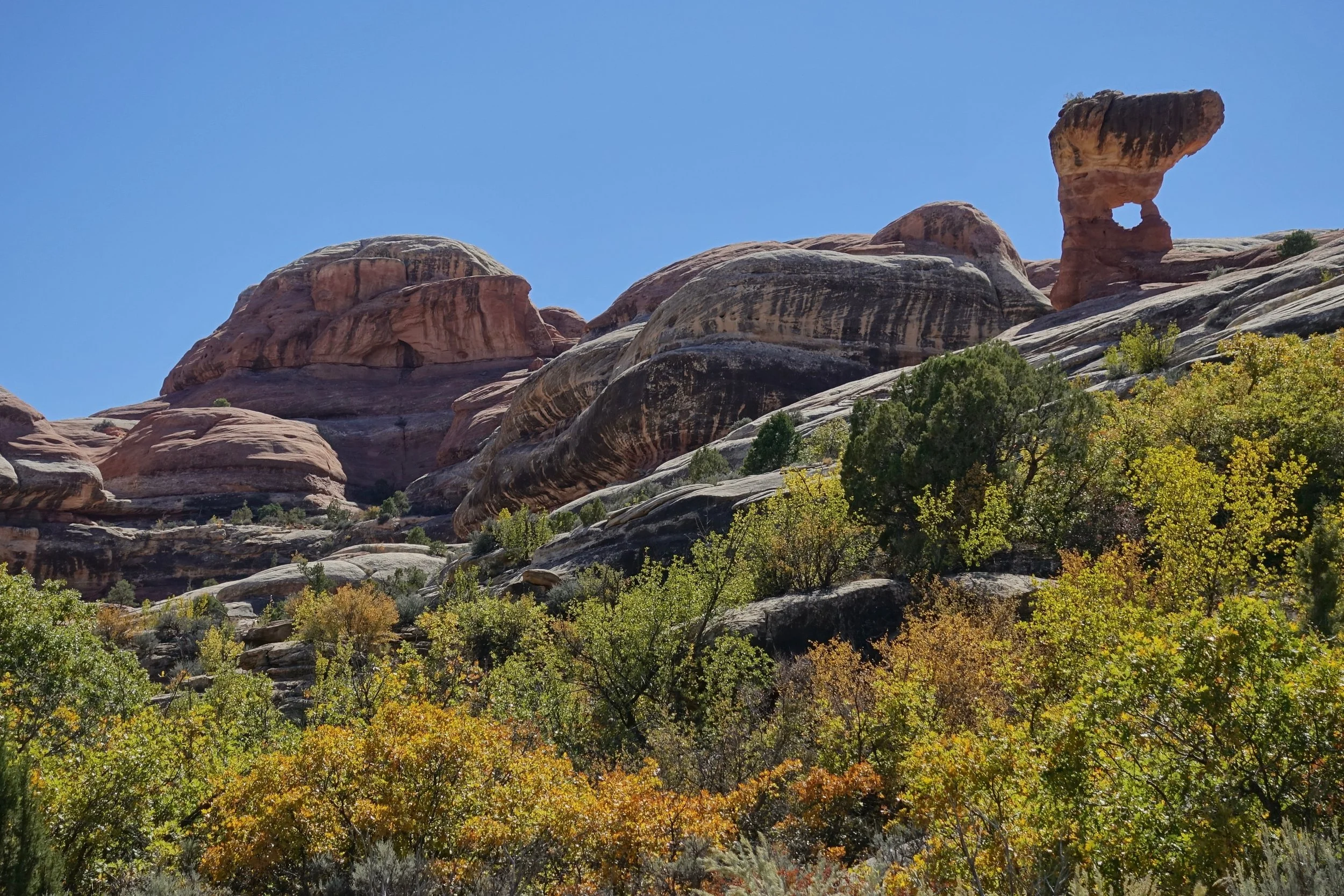 Arch on Salt Creek Canyon hike in Canyonlands Utah