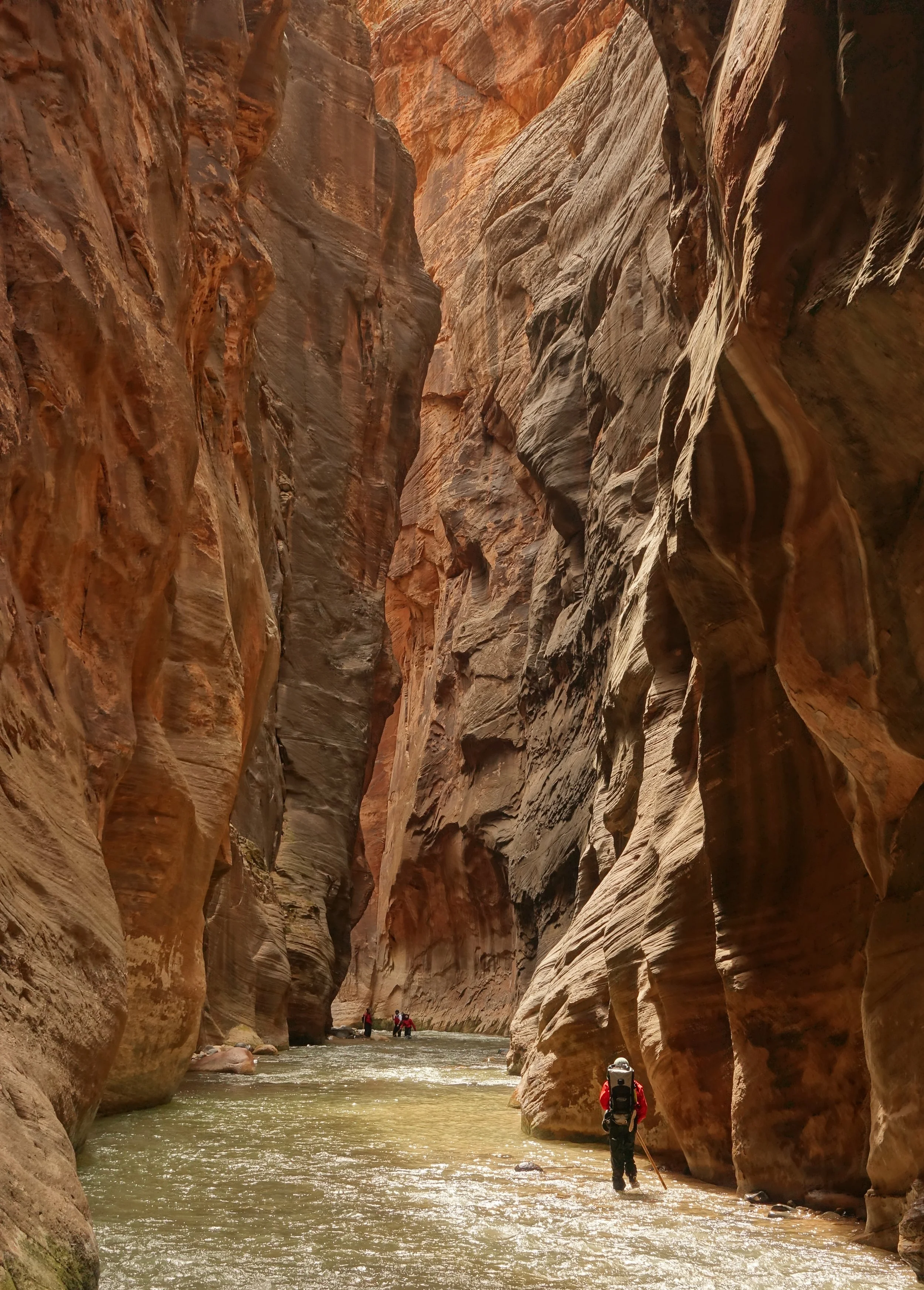 Hiker in Zion Narrows top down hike in March in a wetsuit in Zion Utah