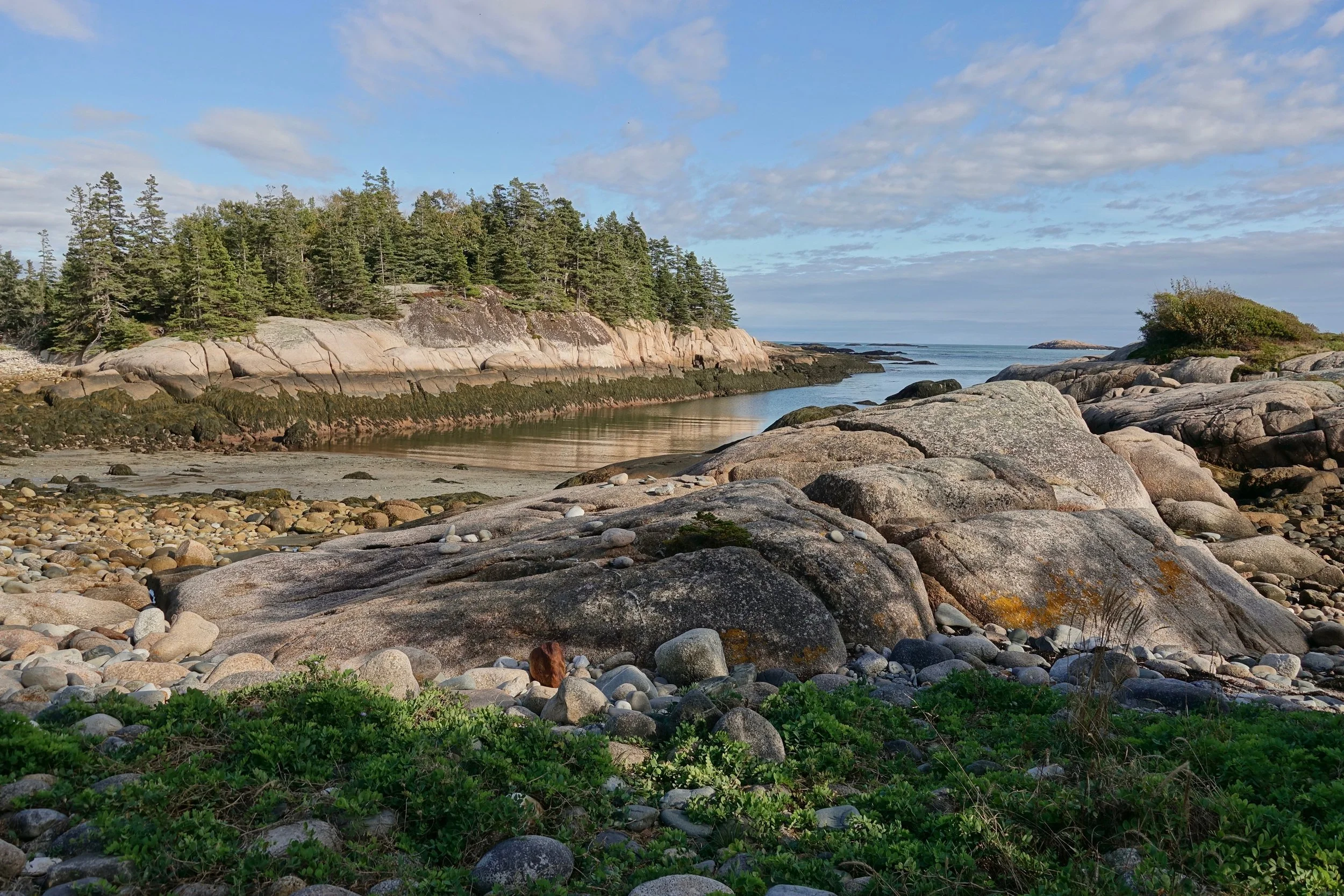 Cape Point on the eastern side of the Wass Preserve