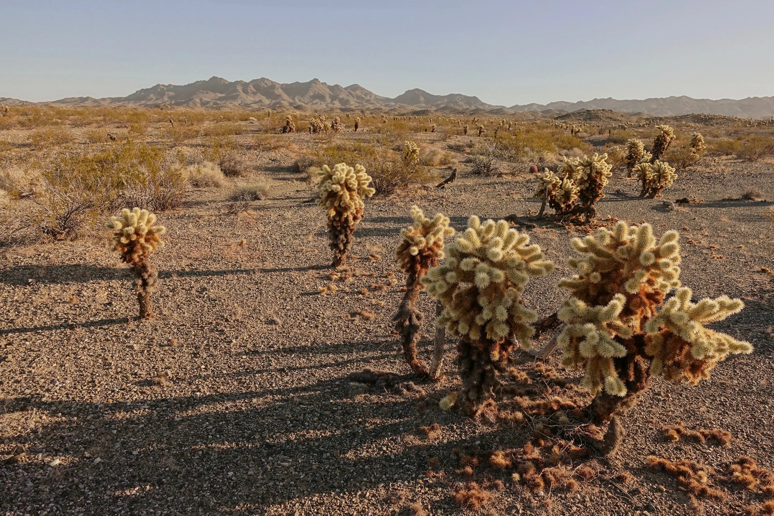 Backpacking around the Chemehuevi Mountains Wilderness area in California