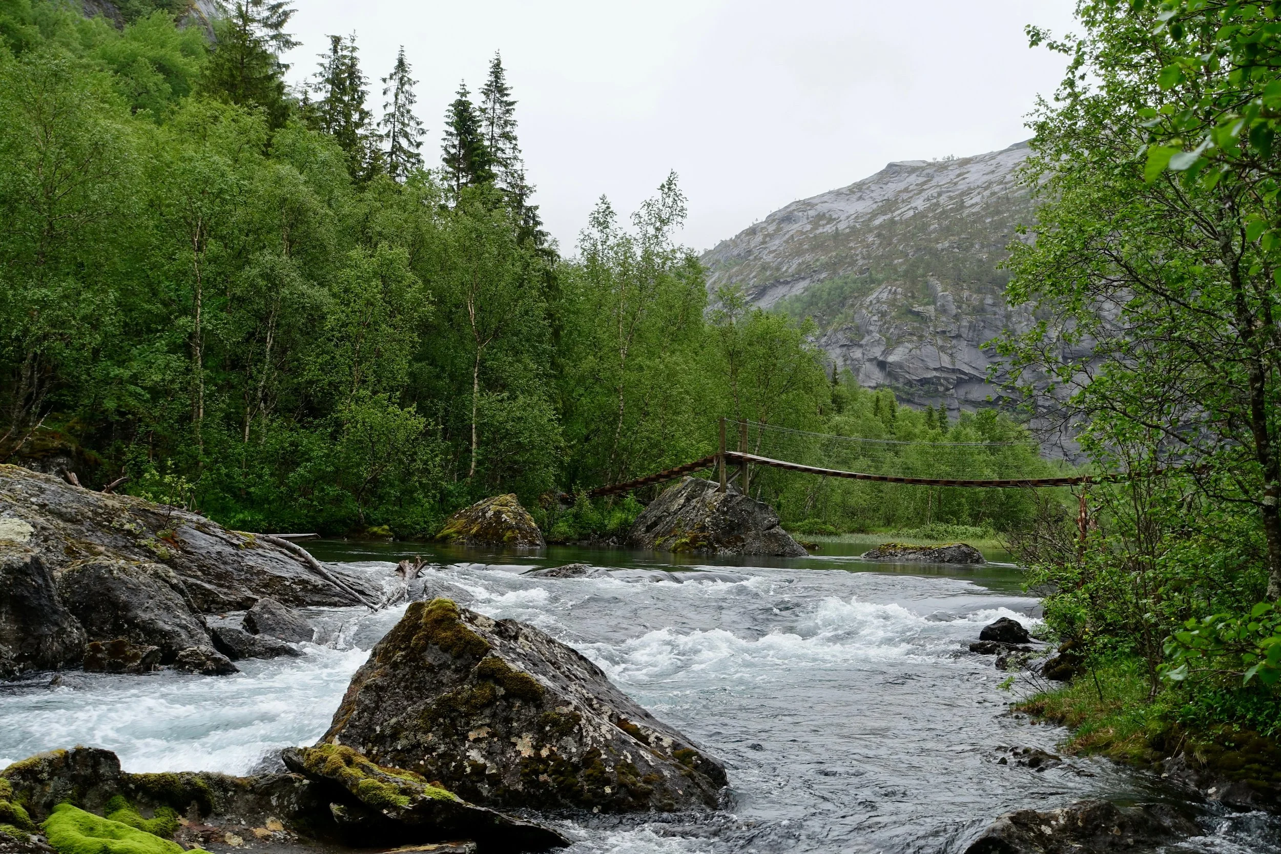 One of many suspension bridges on the hike