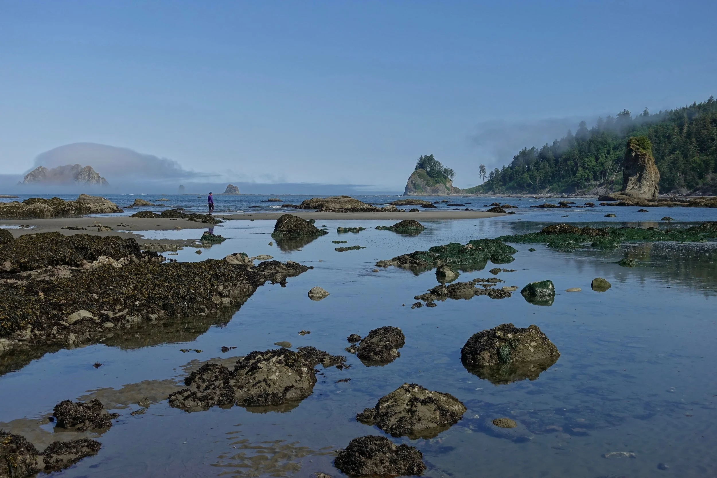 Backpacking along the coastline in Olympic National park