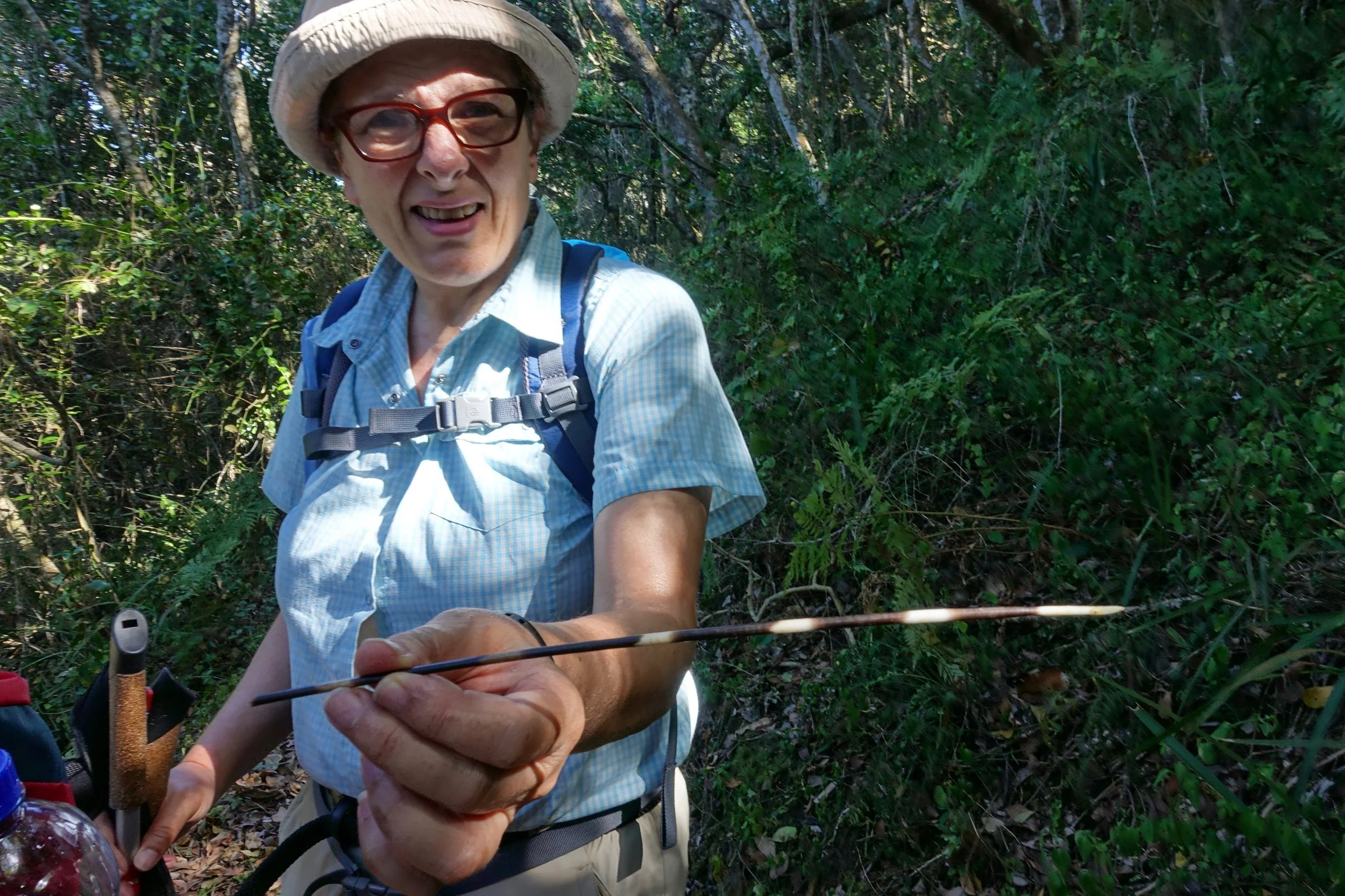 Porcupine quill