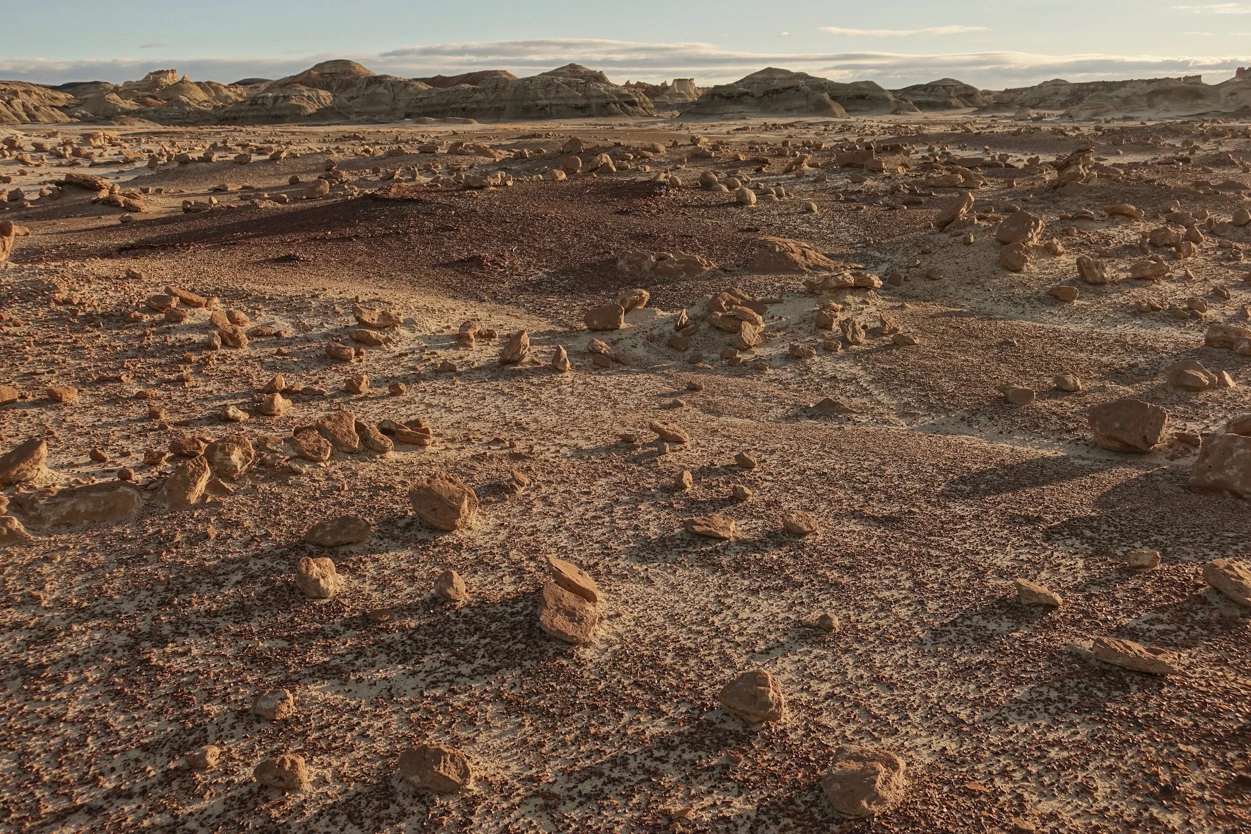 Bisti Rock Garden in the Bisti Badlands De-Na-Zin Wilderness hike