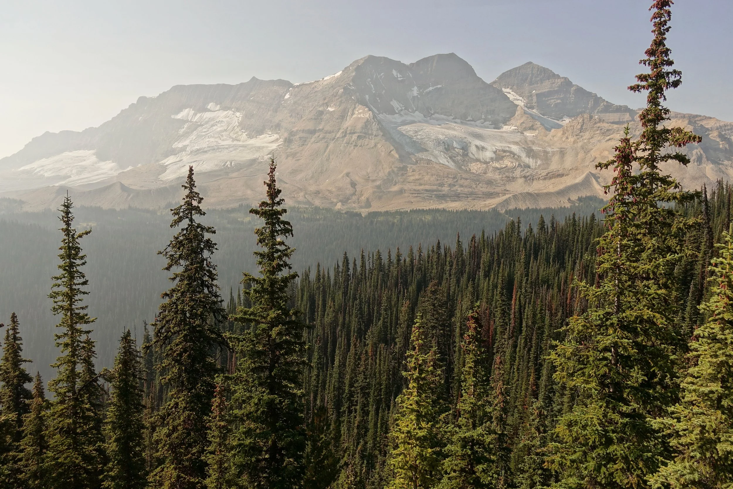 Coming down the Skyline Trail