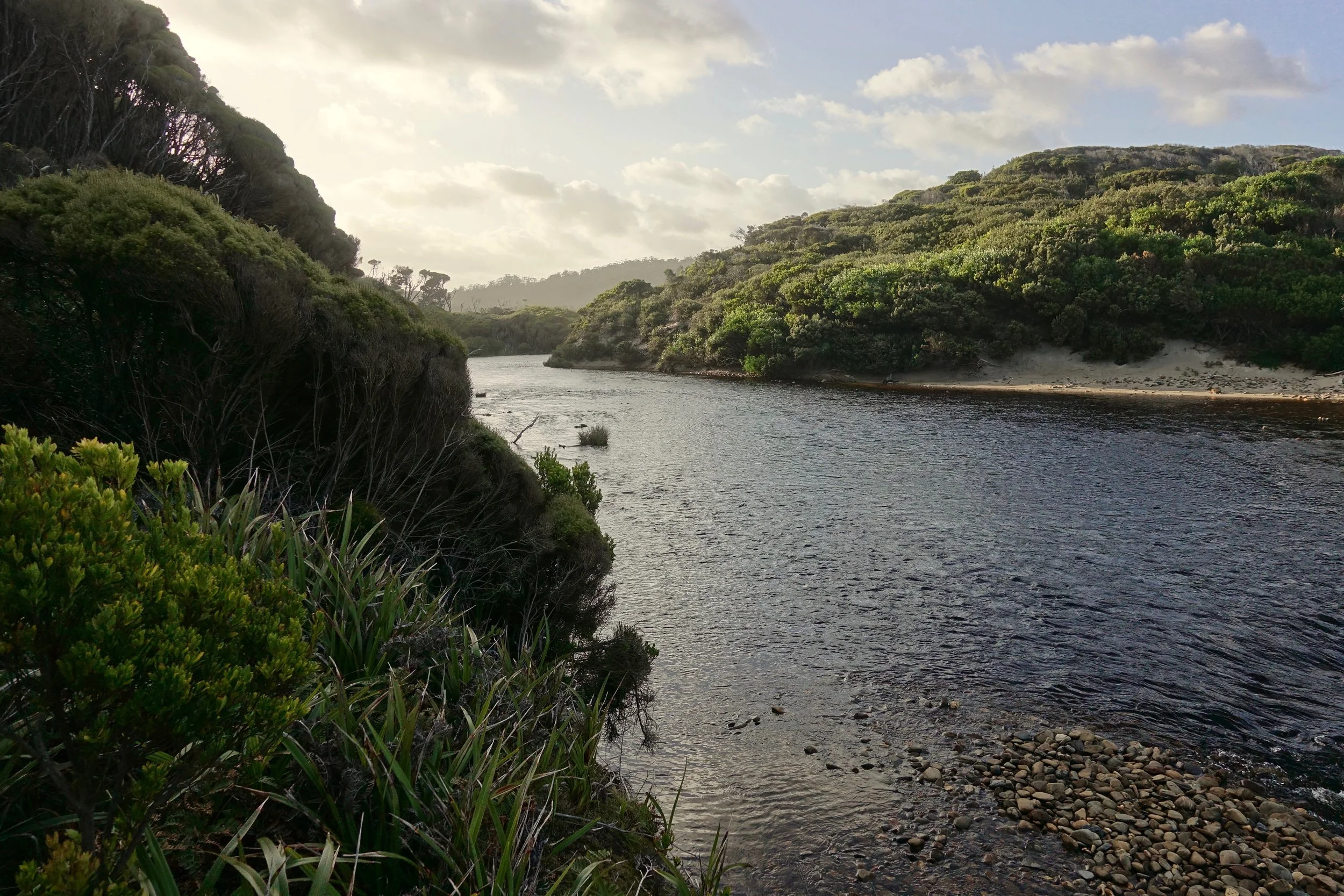 Hibbs River in Southwest Tasmania