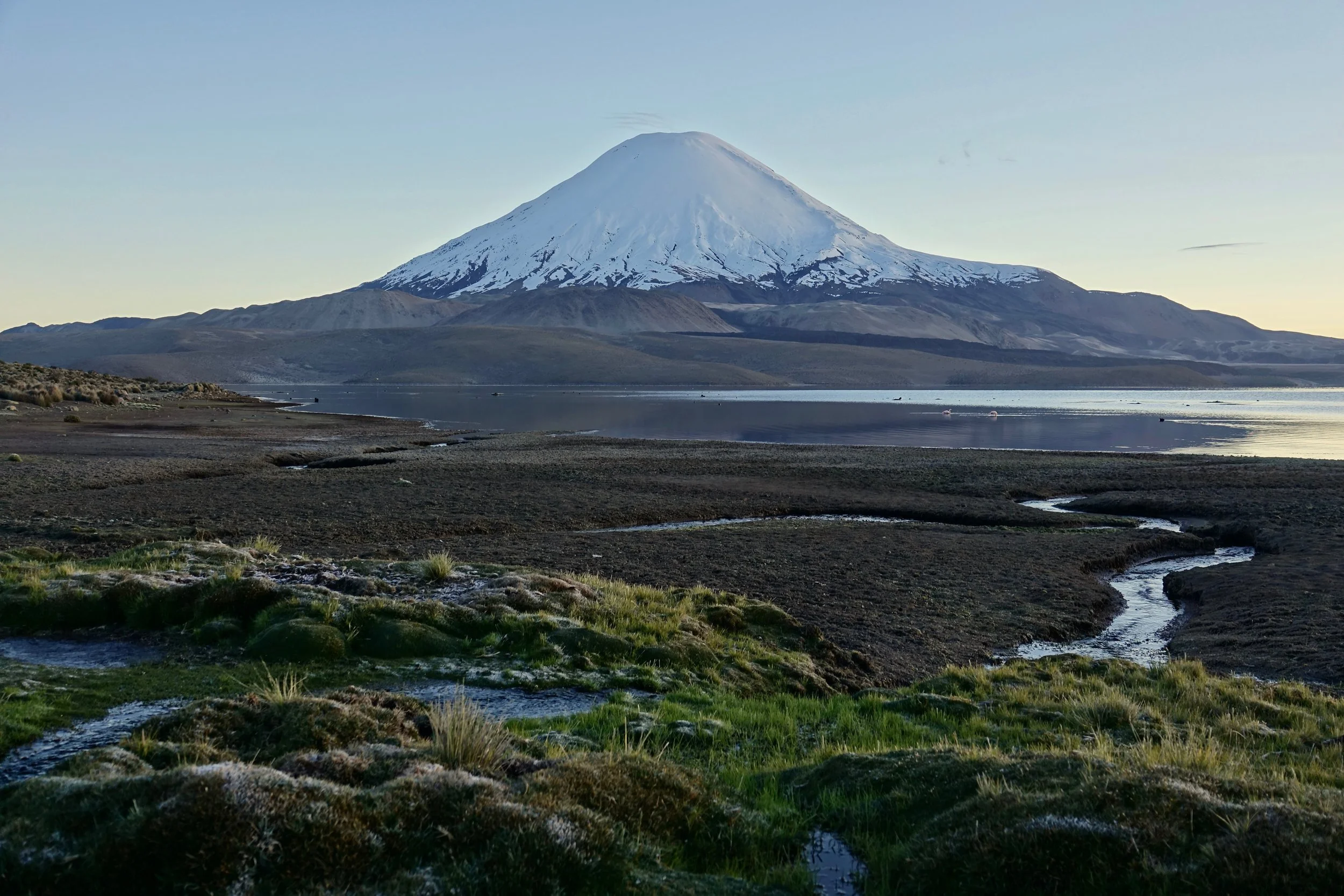 Volcano Parinacota in Lauca National Park Chile