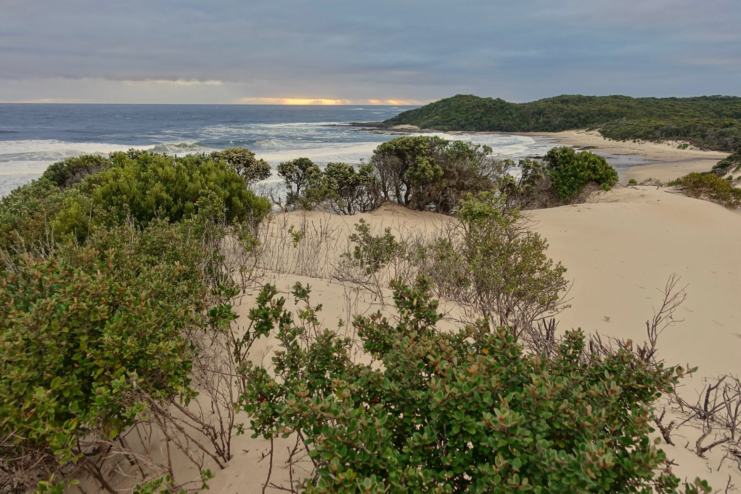 Nye Bay at sunset on the West Coast hike in Tasmania