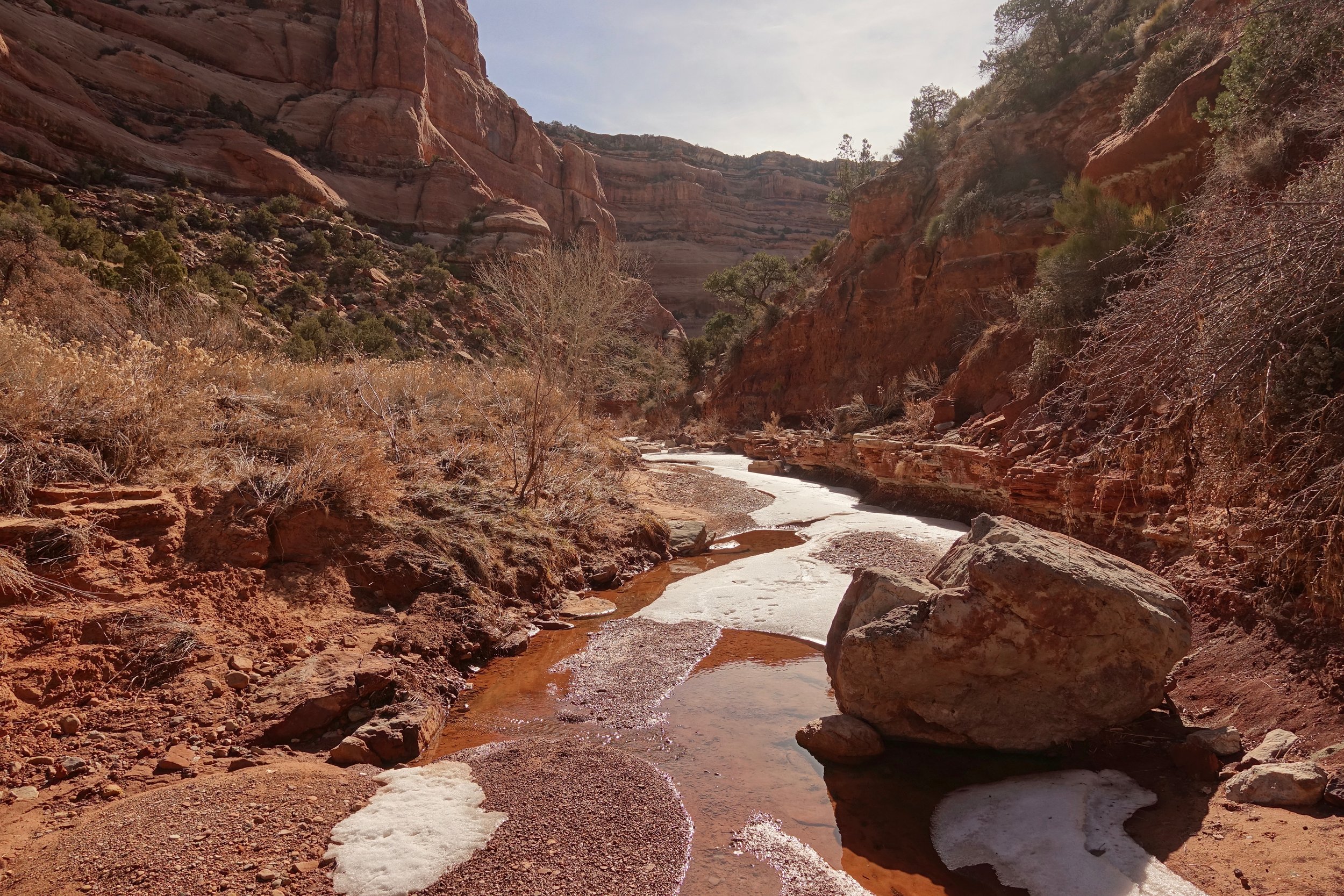 Fish Creek at the bottom of the canyon on a backpacking hike in Utah