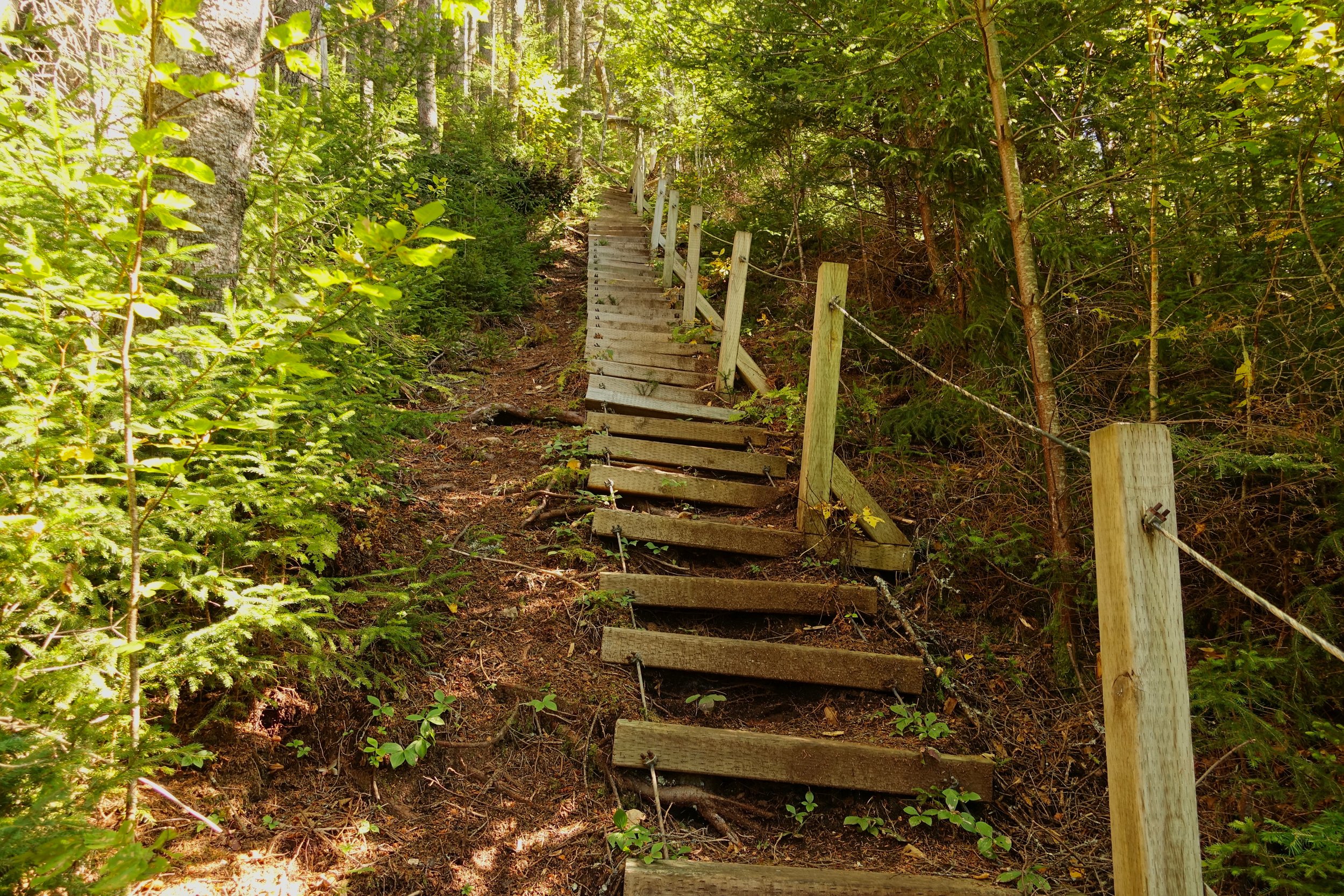 Stairs on the Fundy Footpath near the Interpretive Center near the Big Salmon River