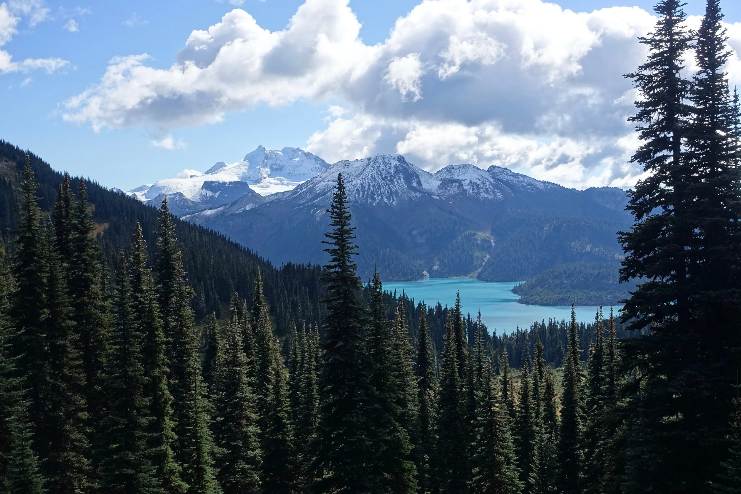 Garibaldi Lake through the trees