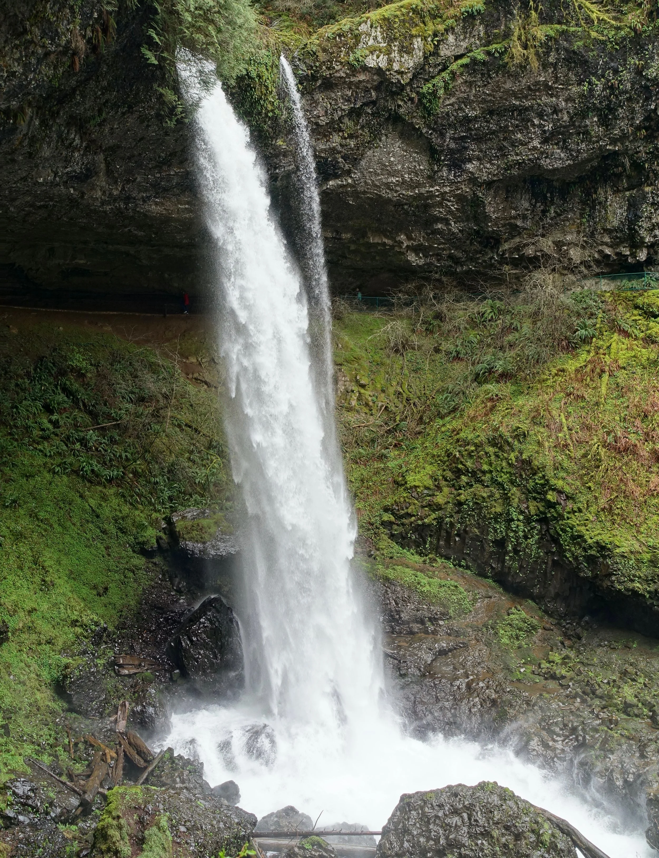 North Falls on the Trail of ten falls