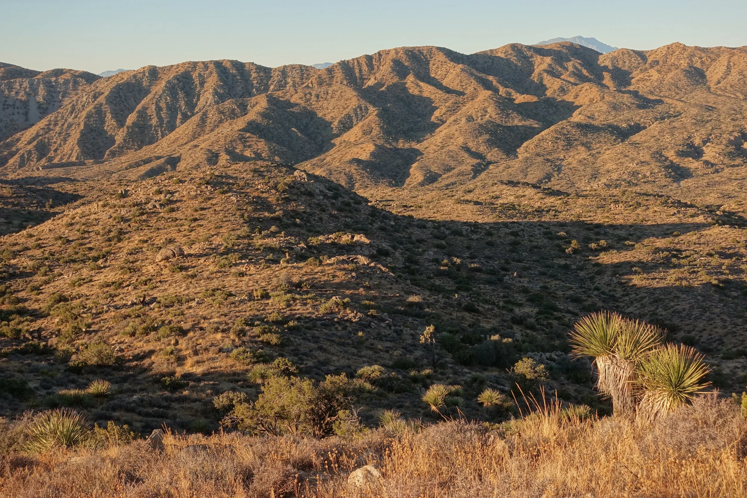 Mountain section on Joshua tree backpack