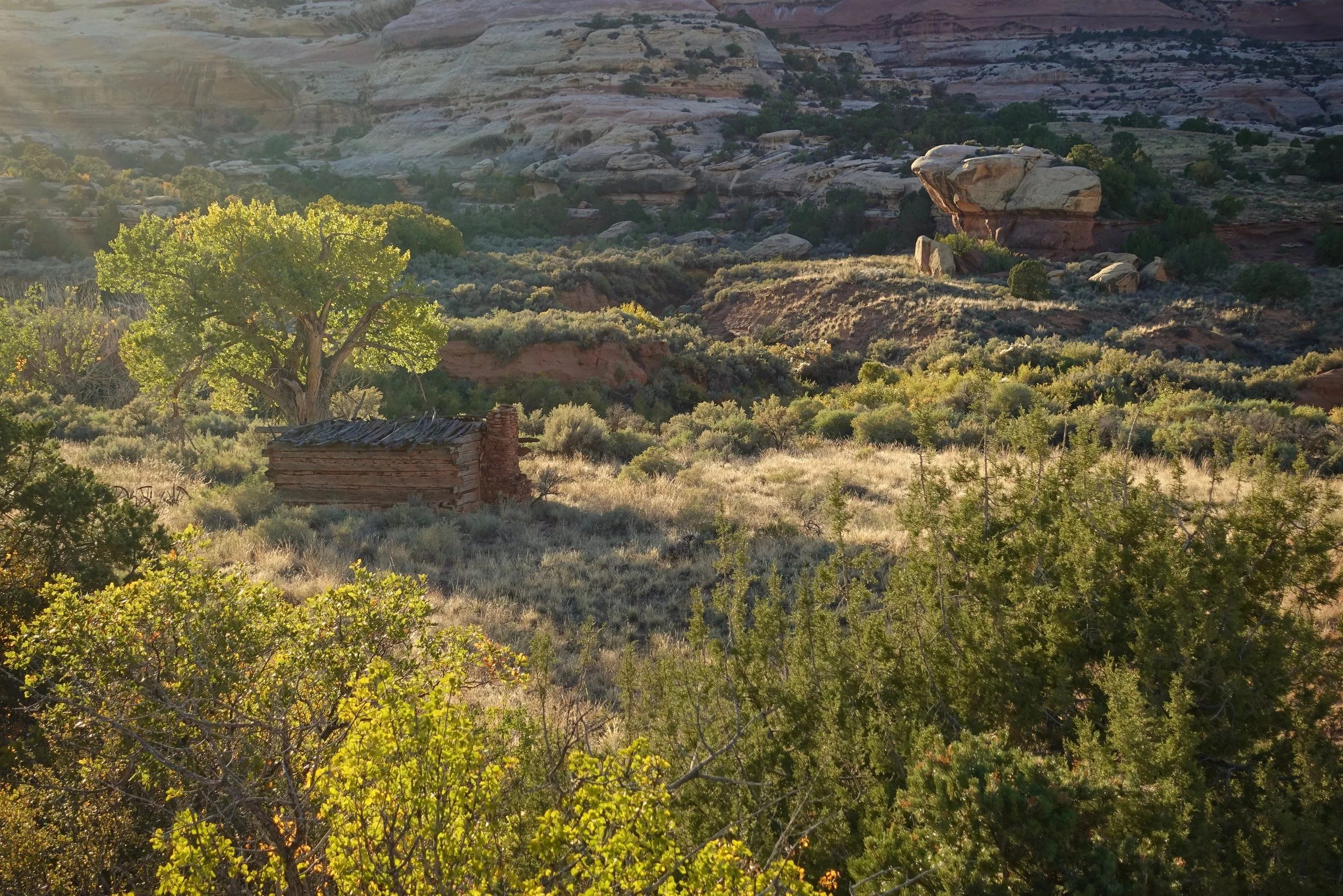Kirk's cabin in Canyonlands National Park on the Salt Creek Canyon hike backpacking