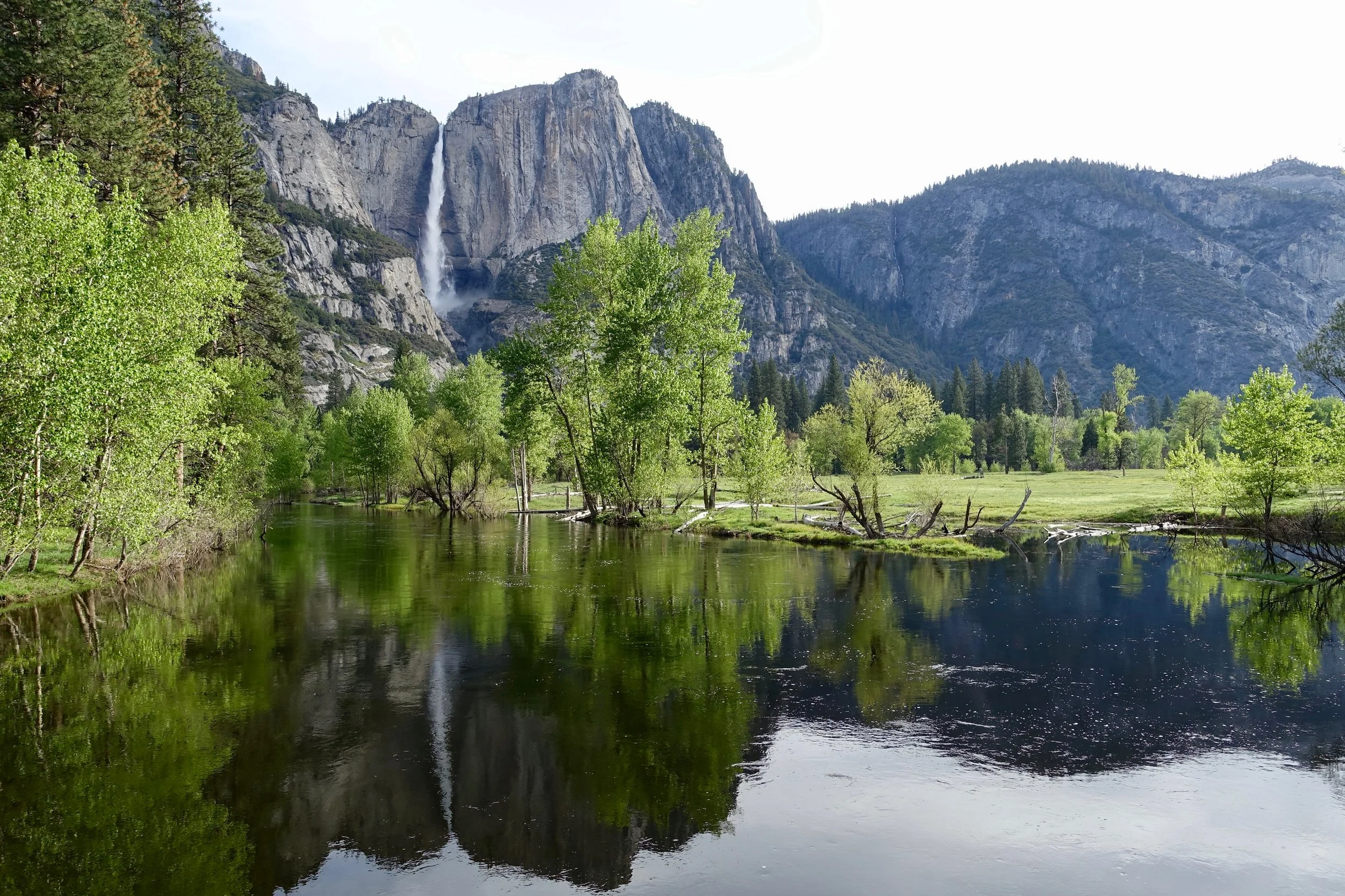 Yosemite Falls from the valley