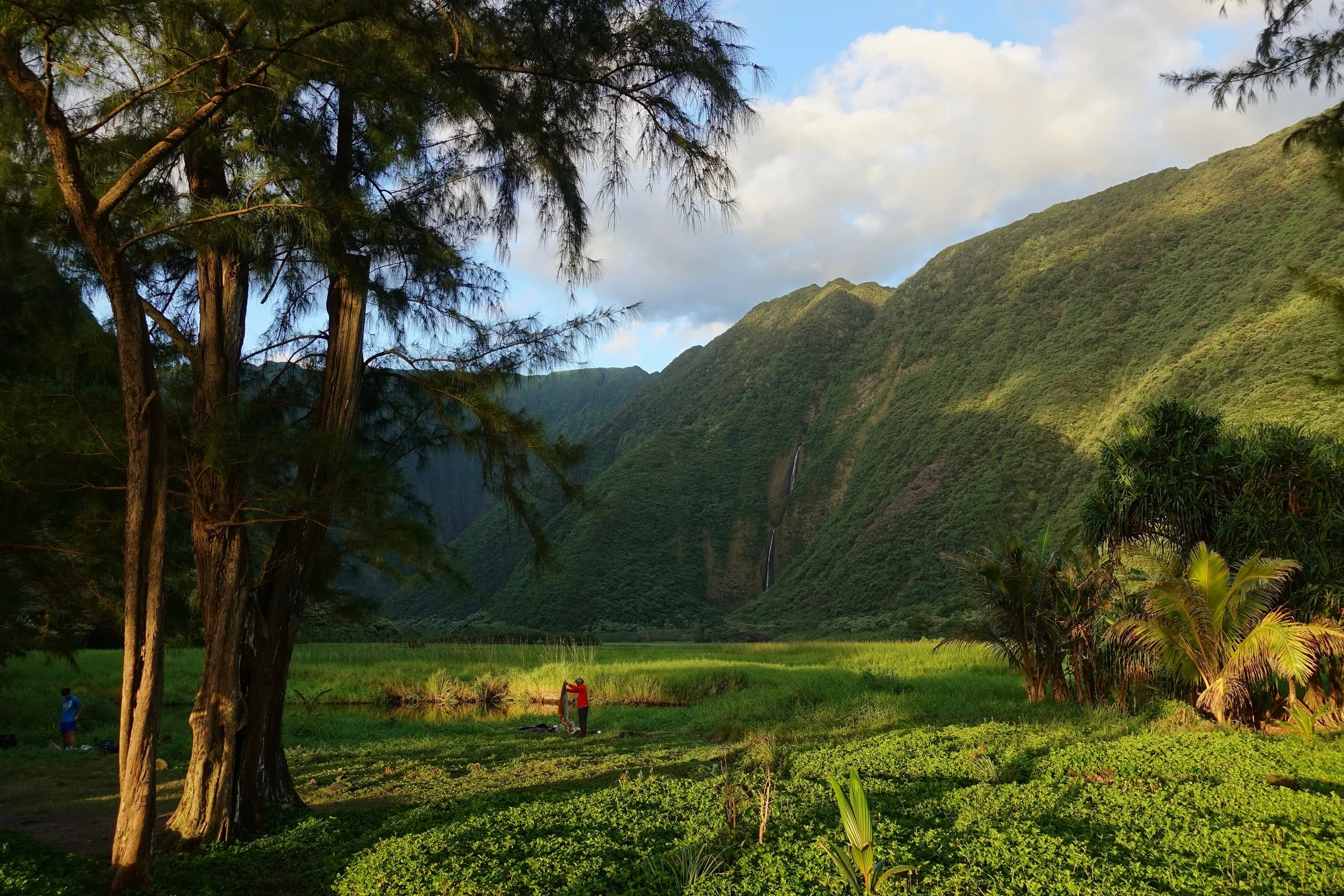 Sunrise at the Waimanu valley campground