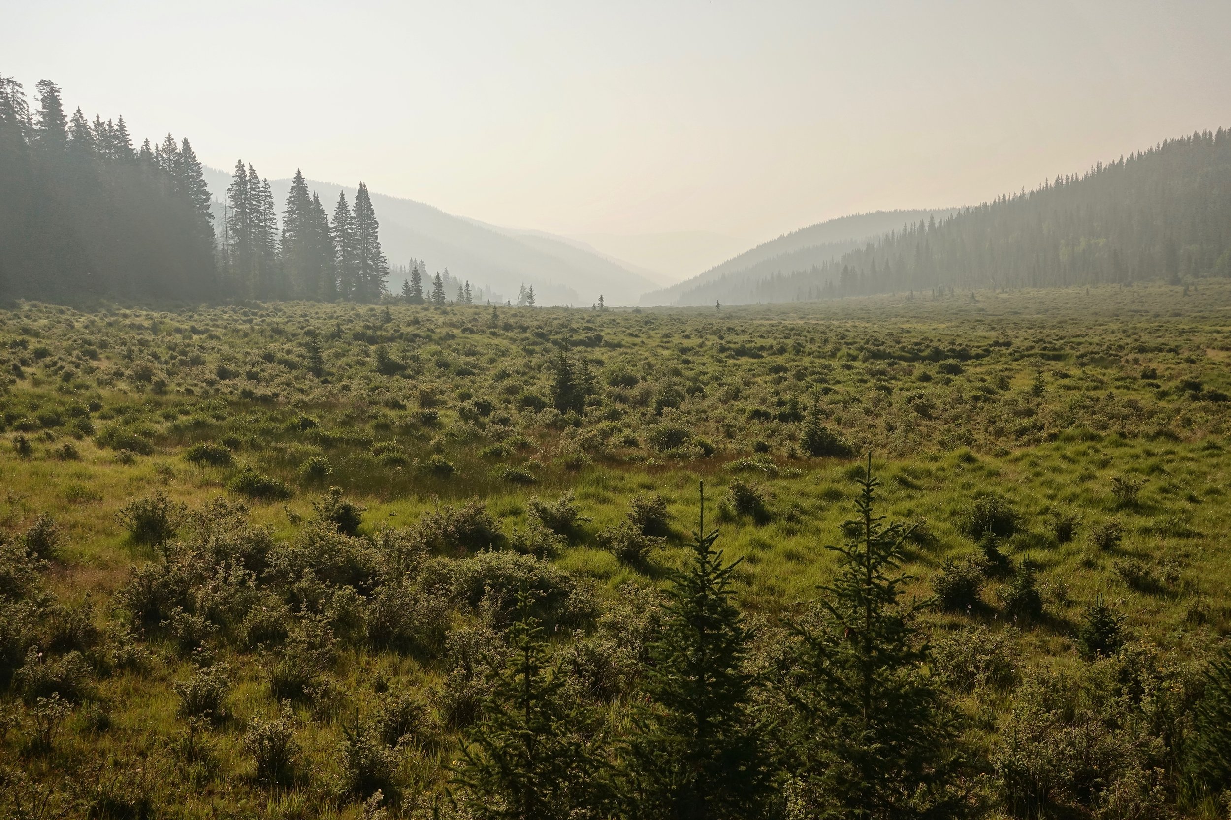 Long Gulch Valley on the Colorado trail