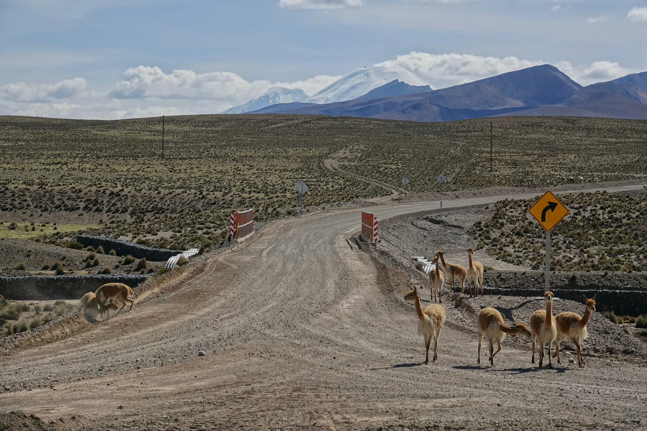 The road in Reserva Natural Las Vicunas in Chile
