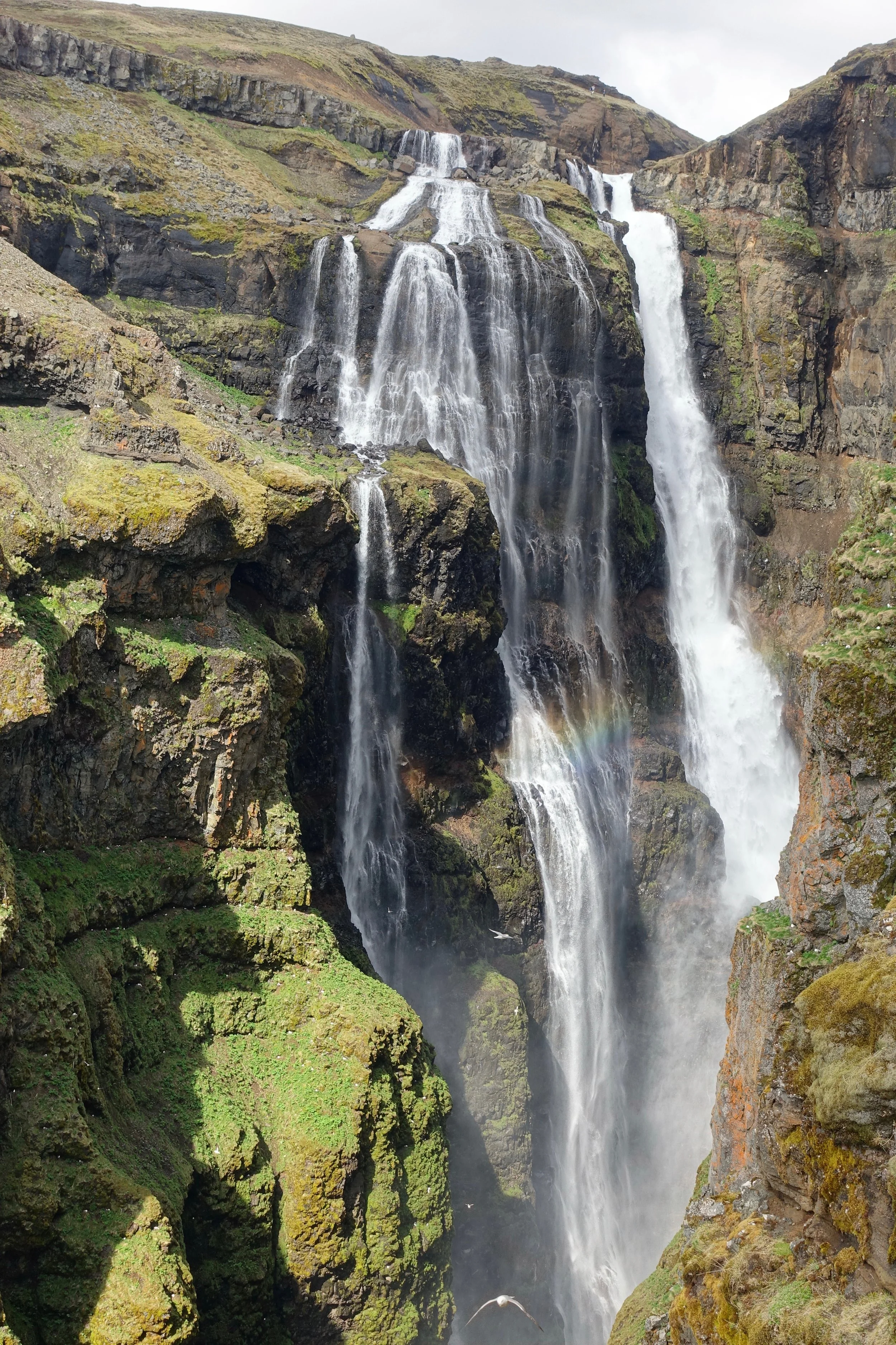 Glymur waterfall in Iceland's tallest waterfall