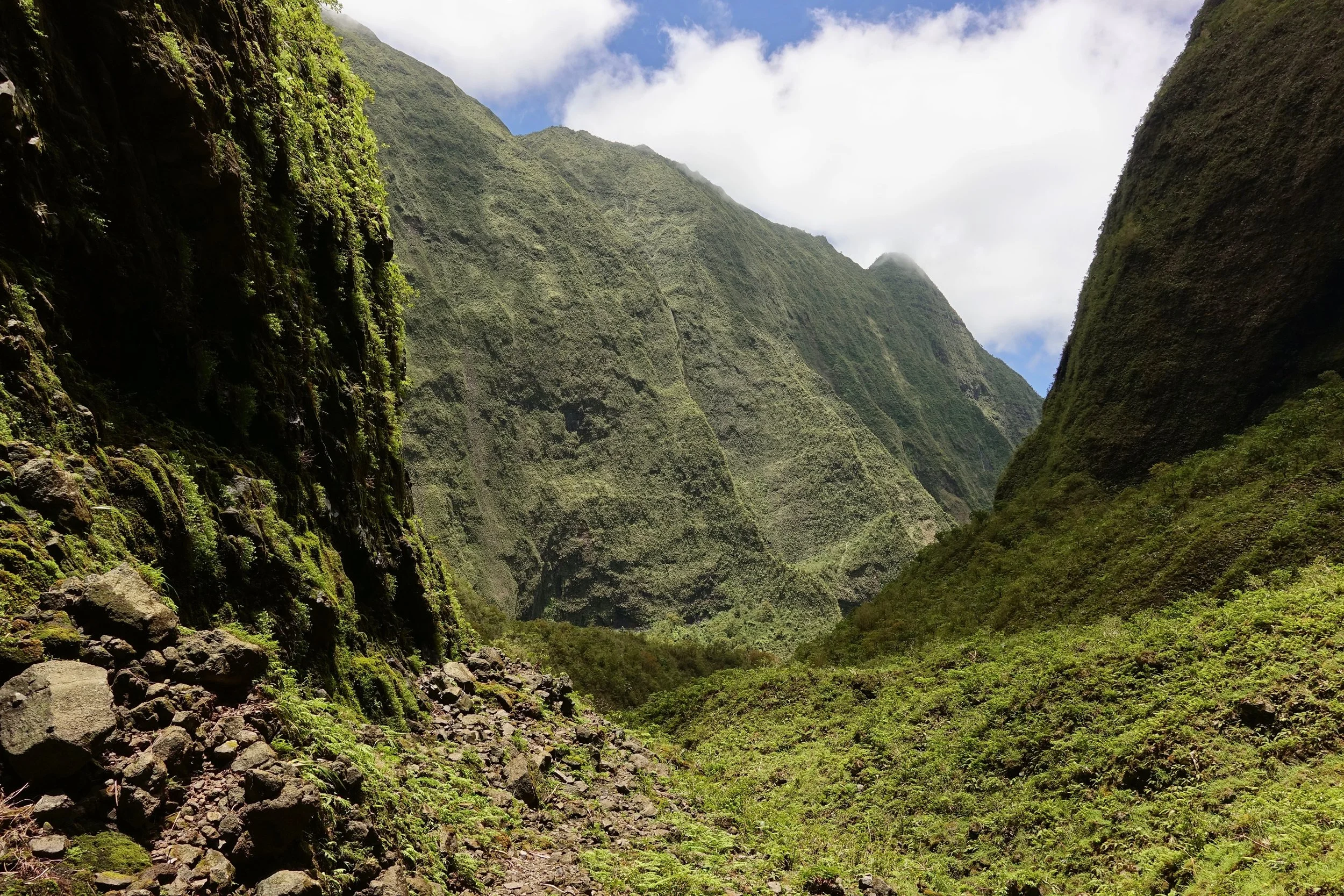 Looking back on the Waialeale hike from the cascade at the Blue Hole in Kauai Hawaii