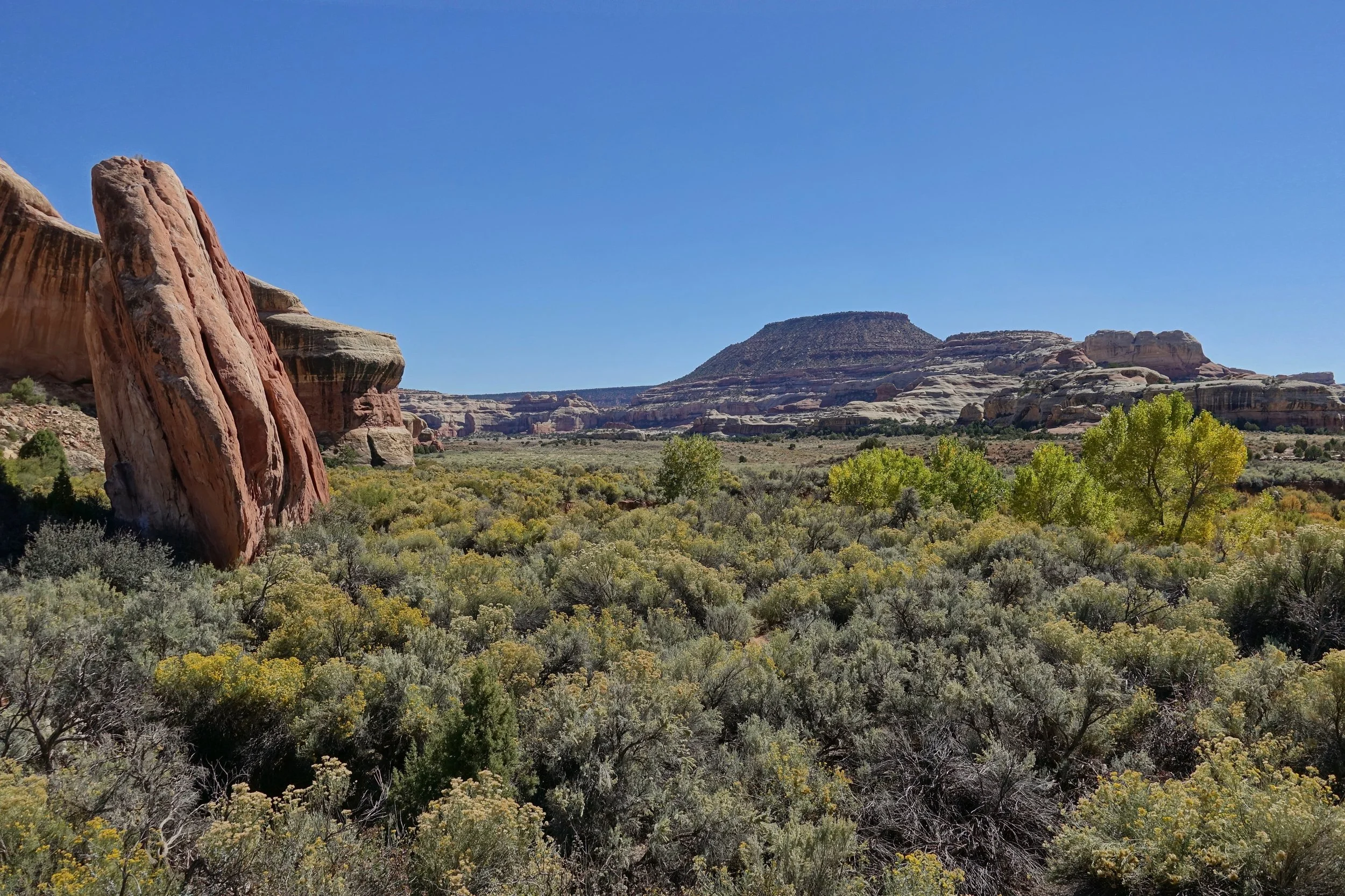 Salt Creek Canyon hike in Canyonlands National Park in Utah