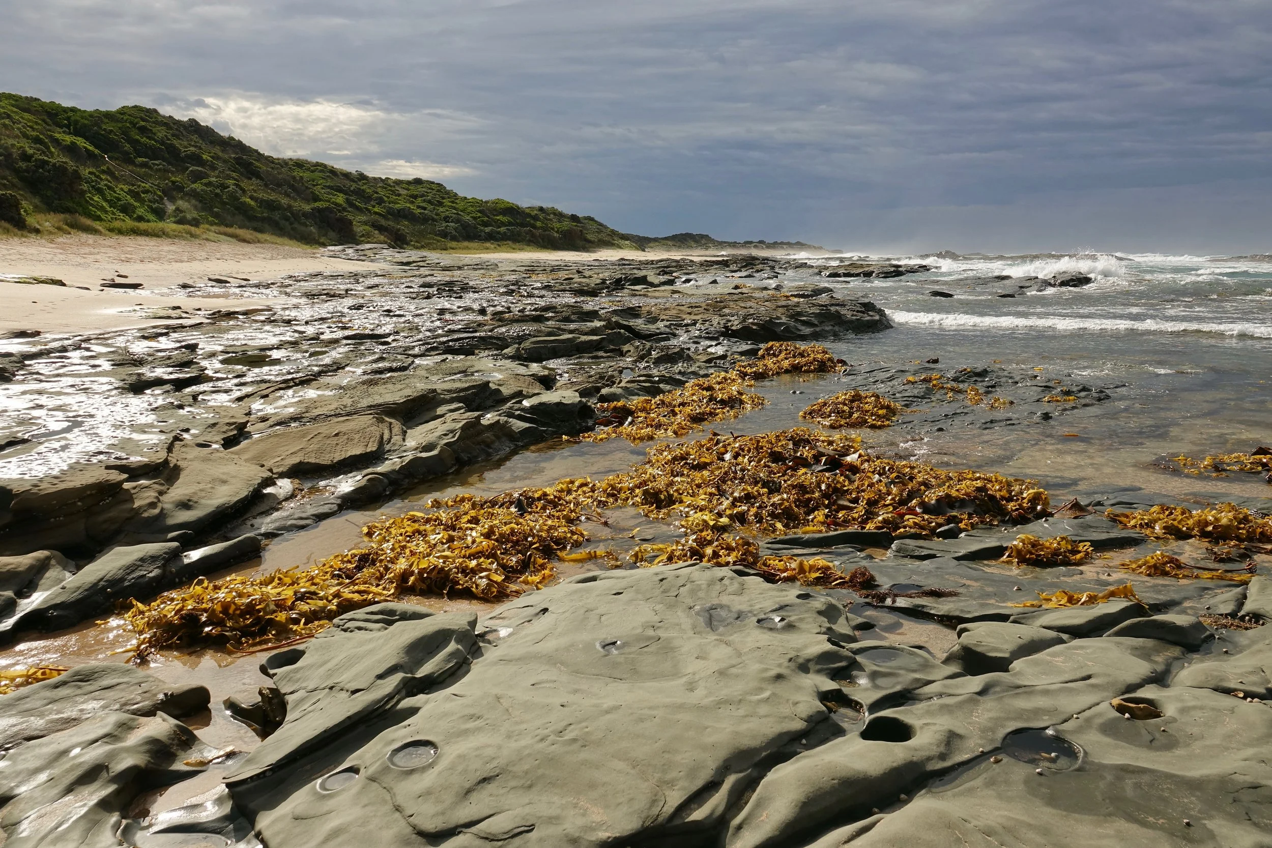 Beach on the Great Ocean Walk hike in Victoria Australia
