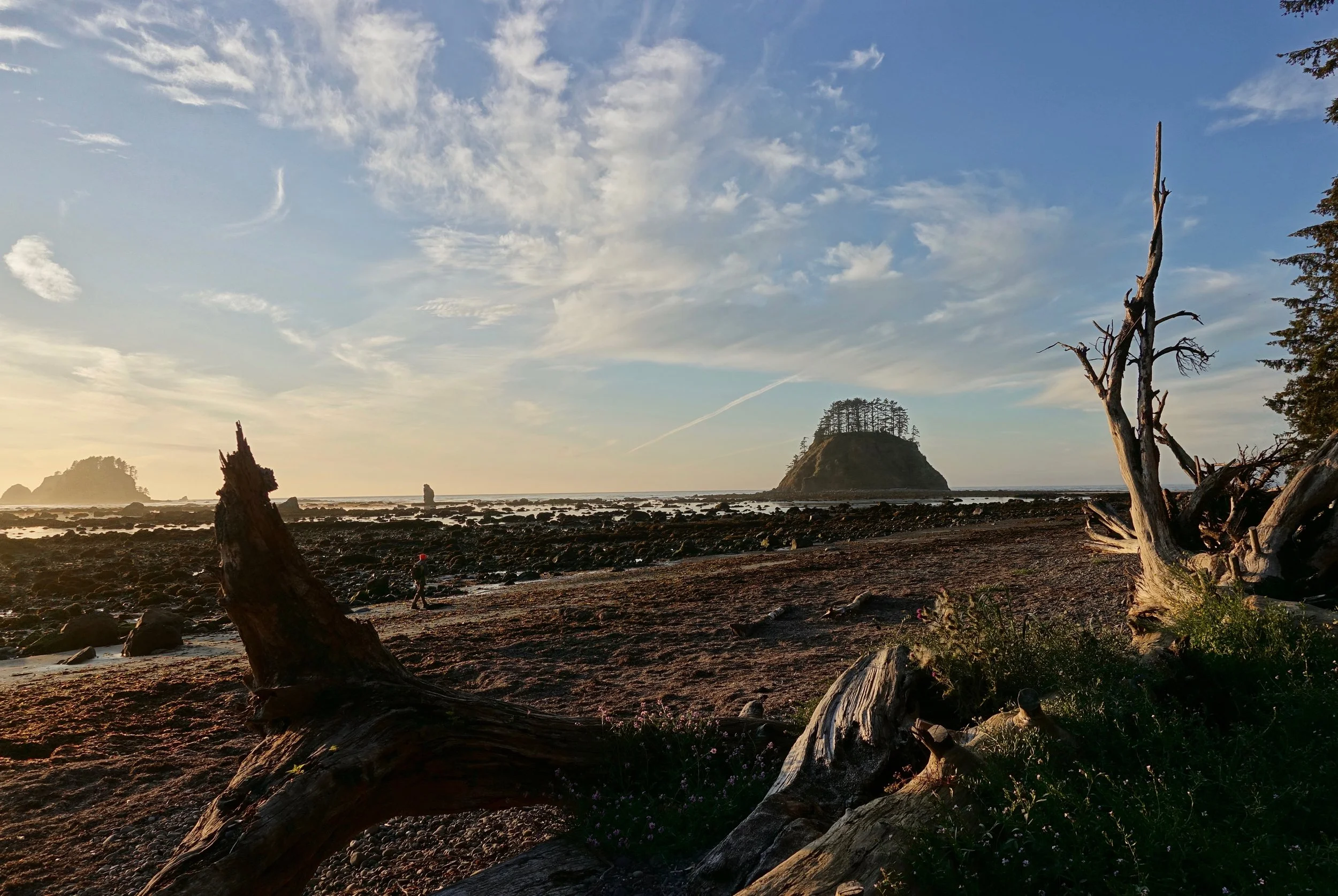 Cape Alava Trail in Olympic National Park in Washington