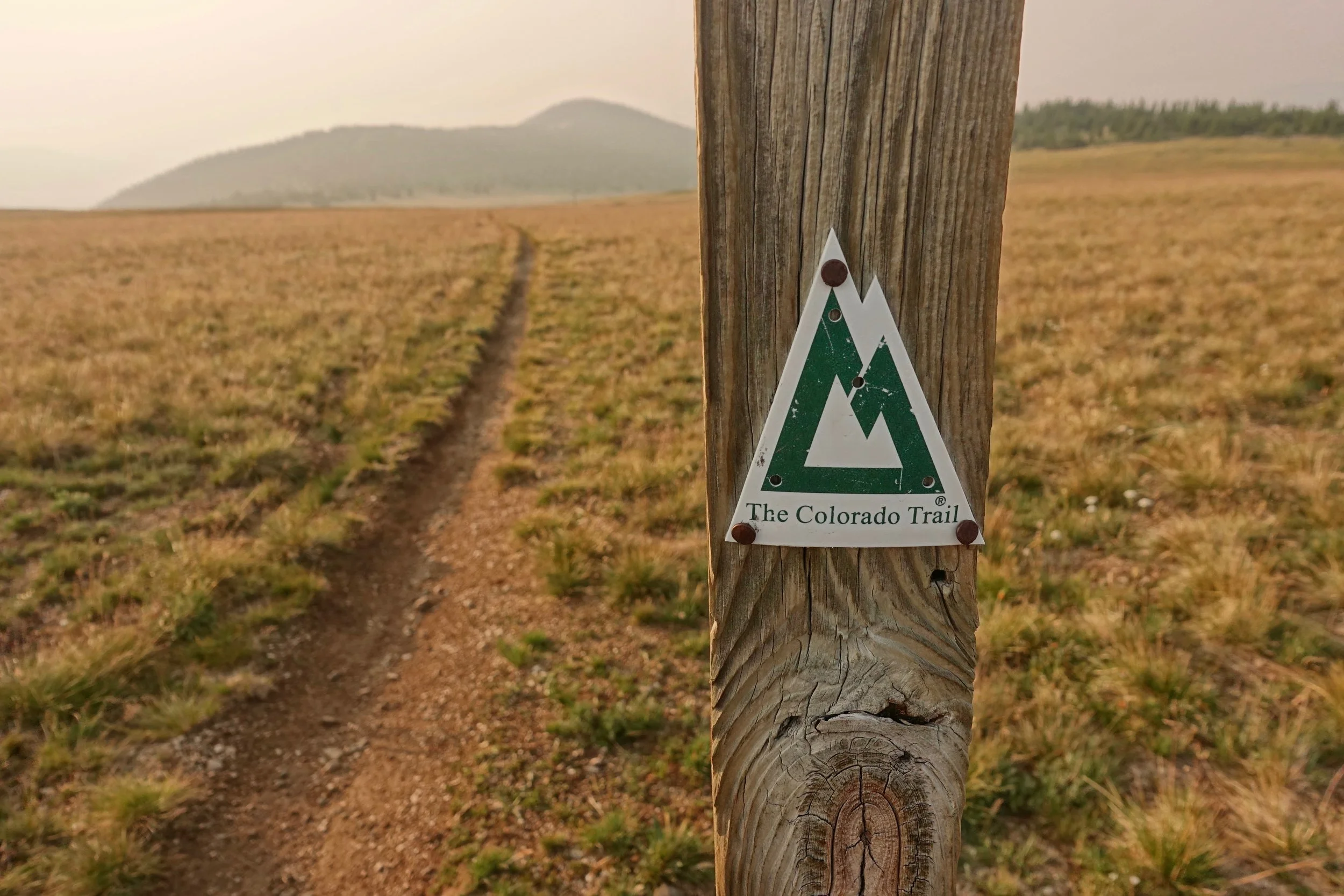 Colorado trail sign at Georgia Pass