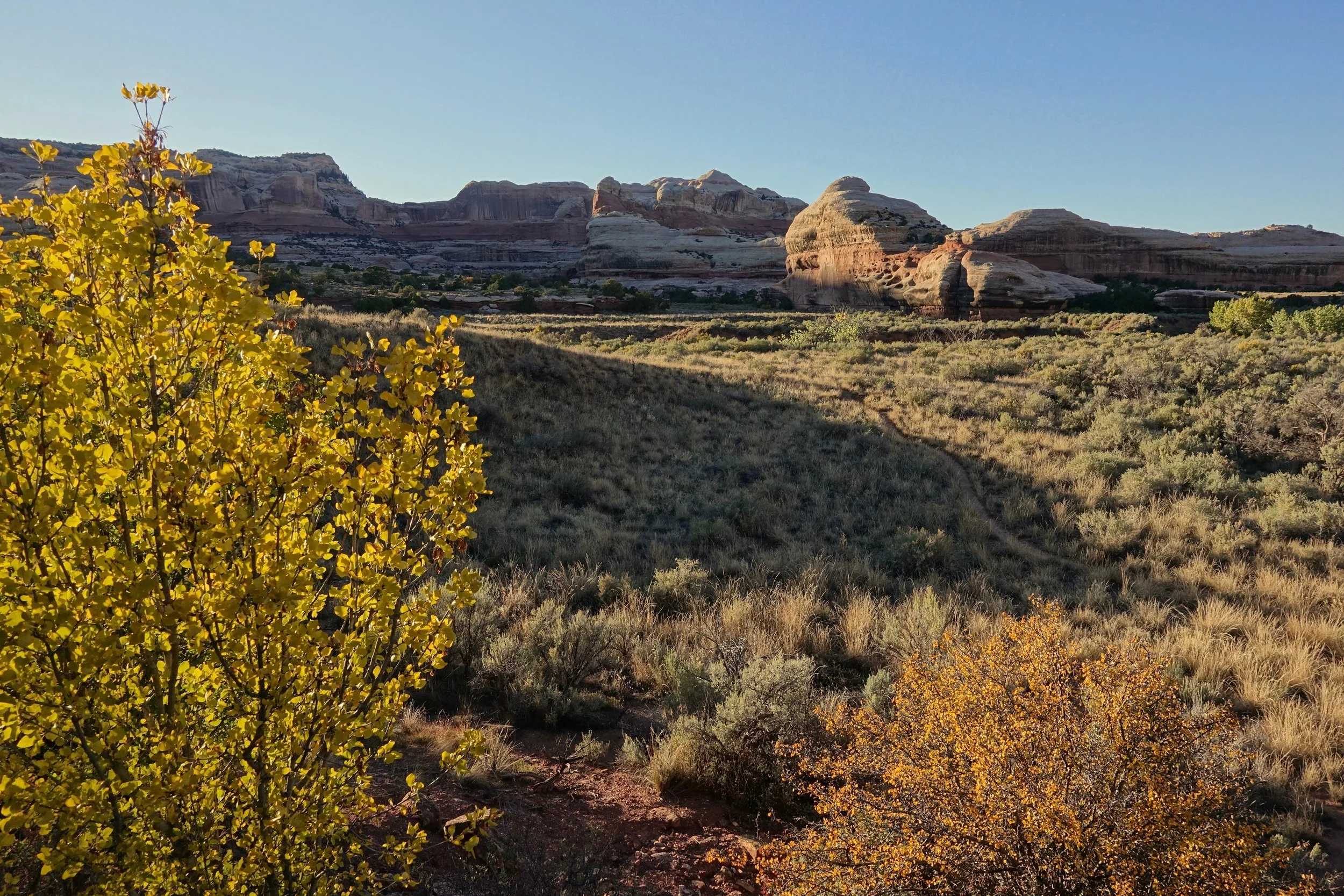 Campground on the Salt Creek Canyon hike in Canyonlands Utah in the fall