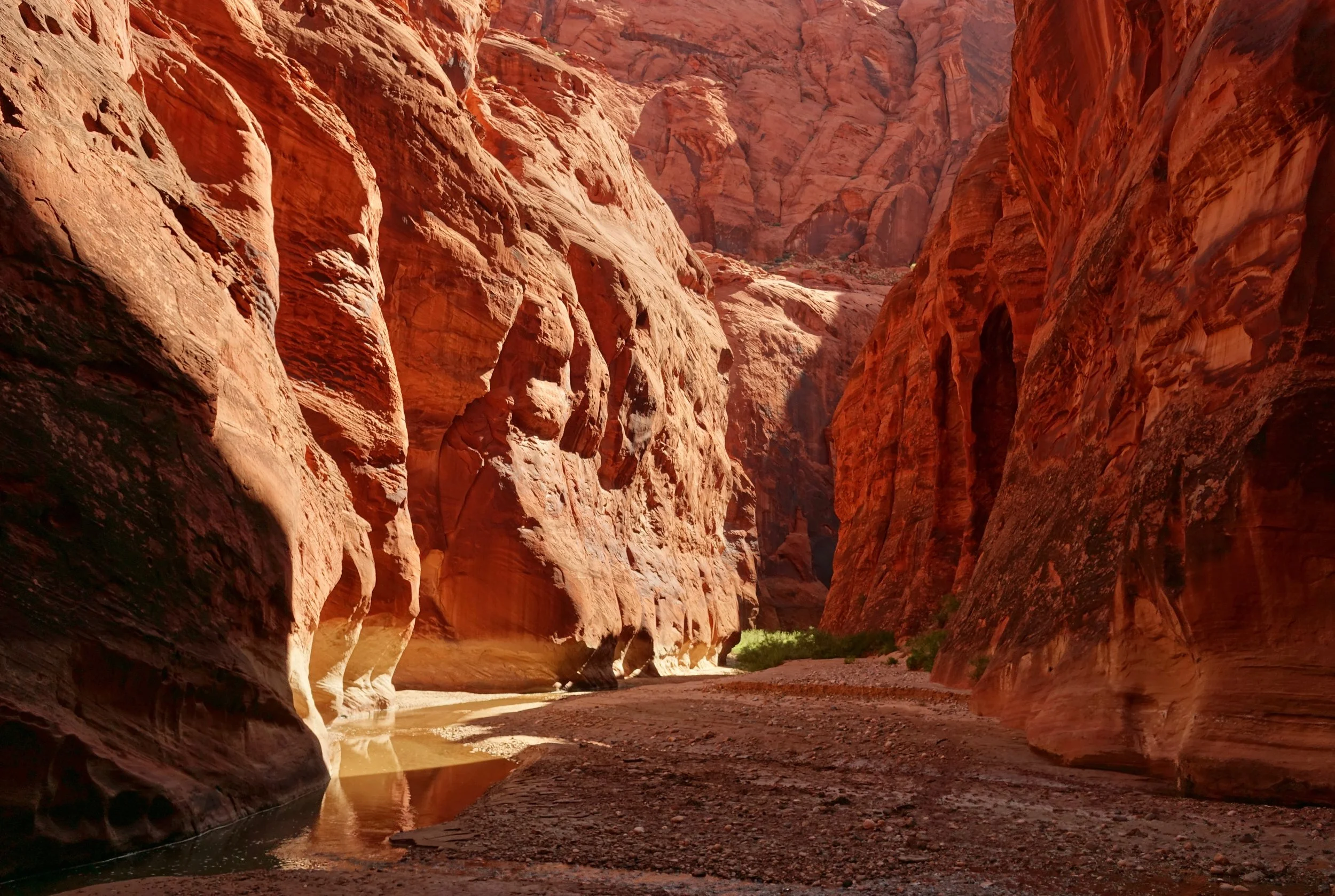 Paria Canyon walk in Northern Arizona
