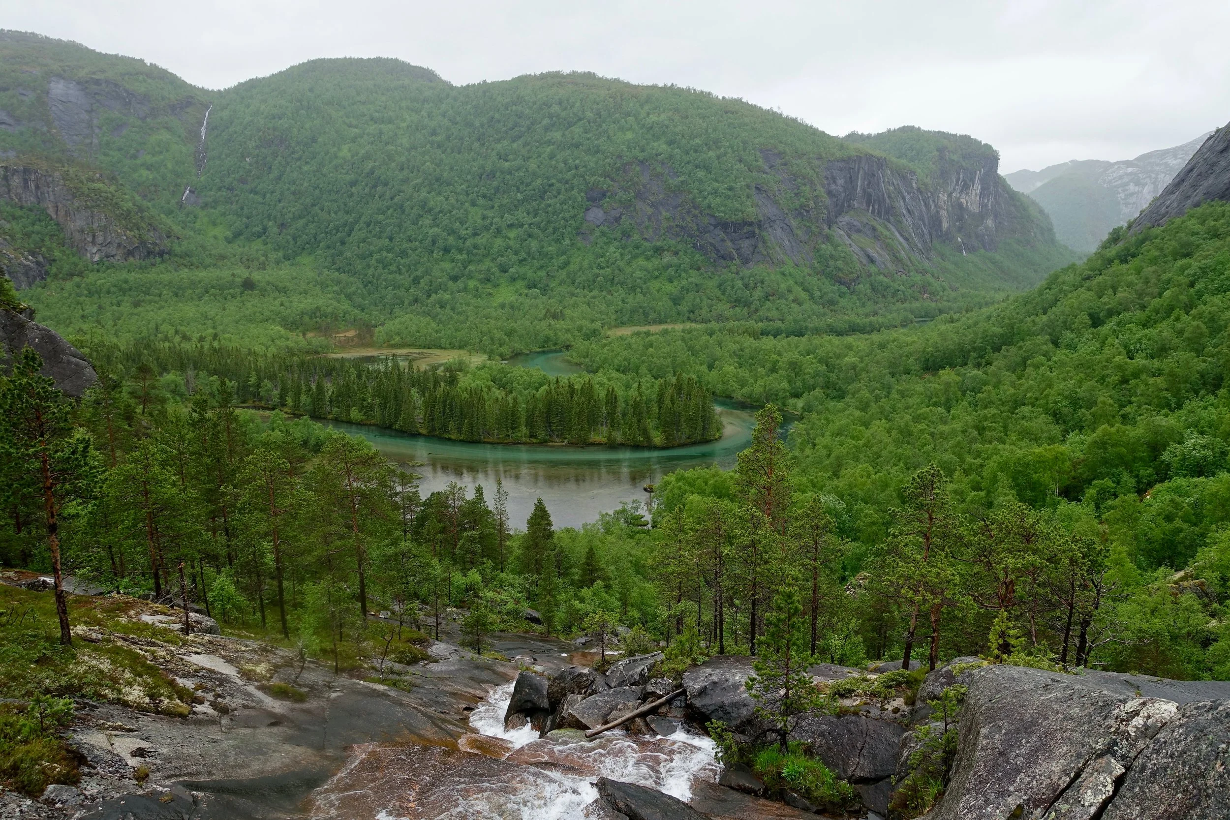 The green forest of Rago National park
