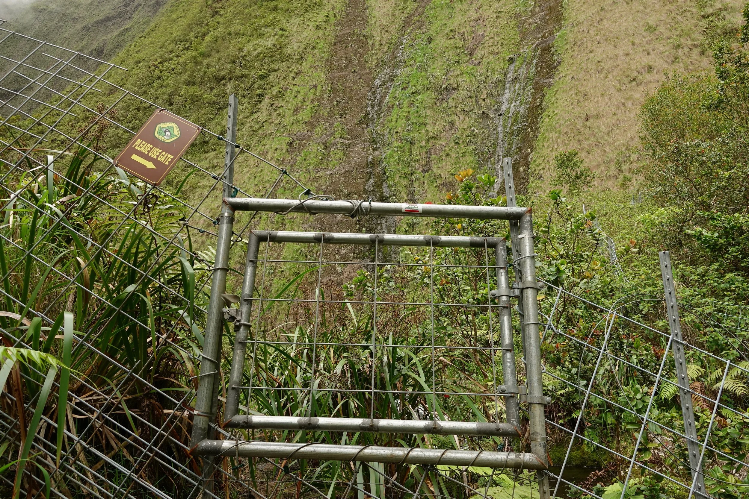 Gate on the Blue Hole hike in Waialeale canyon Hawaii