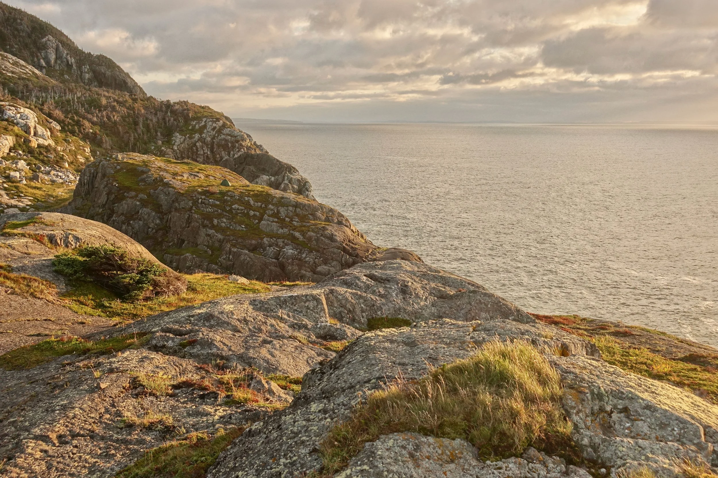 Tent on the northern coast on White Horse Path of the East Coast on thru hike backpack in Newfoundland