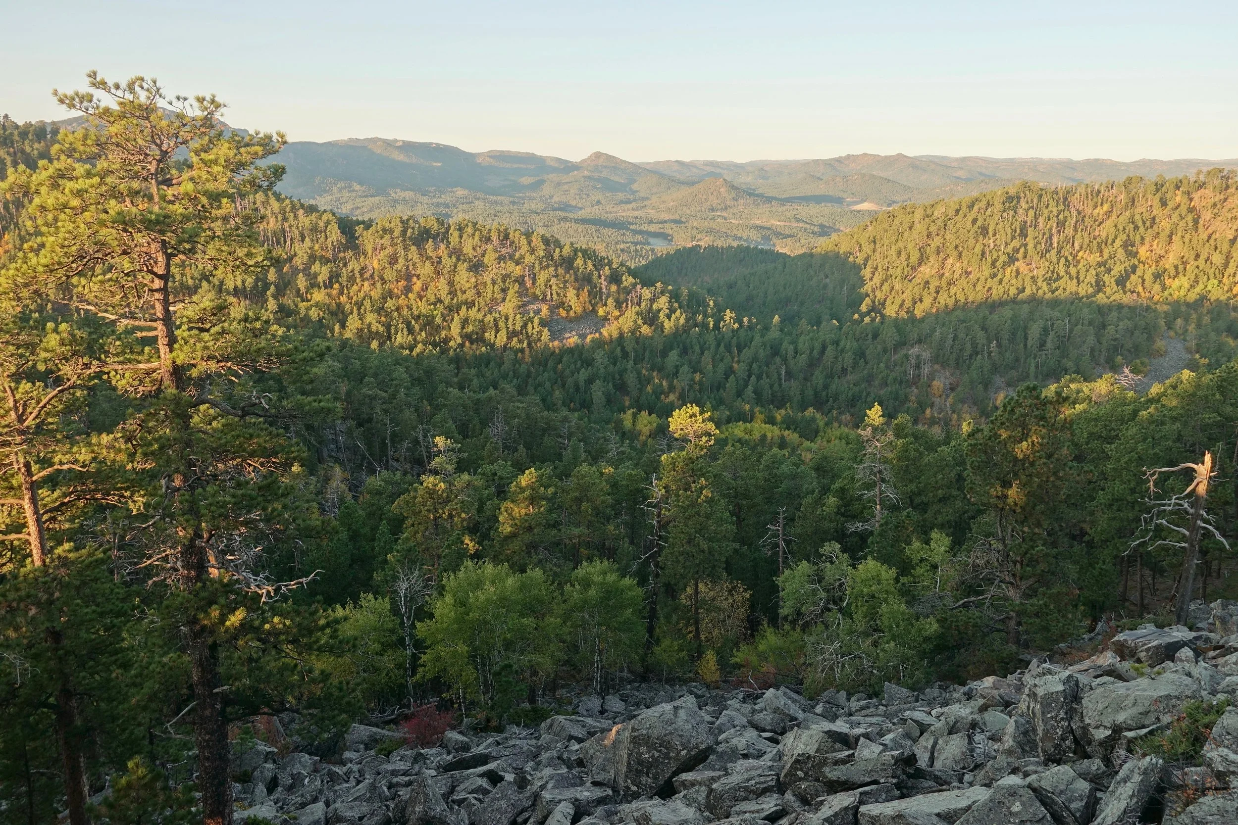 Black hills on the Centennial Trail backpacking walk north of Samelias Peak in South Dakota