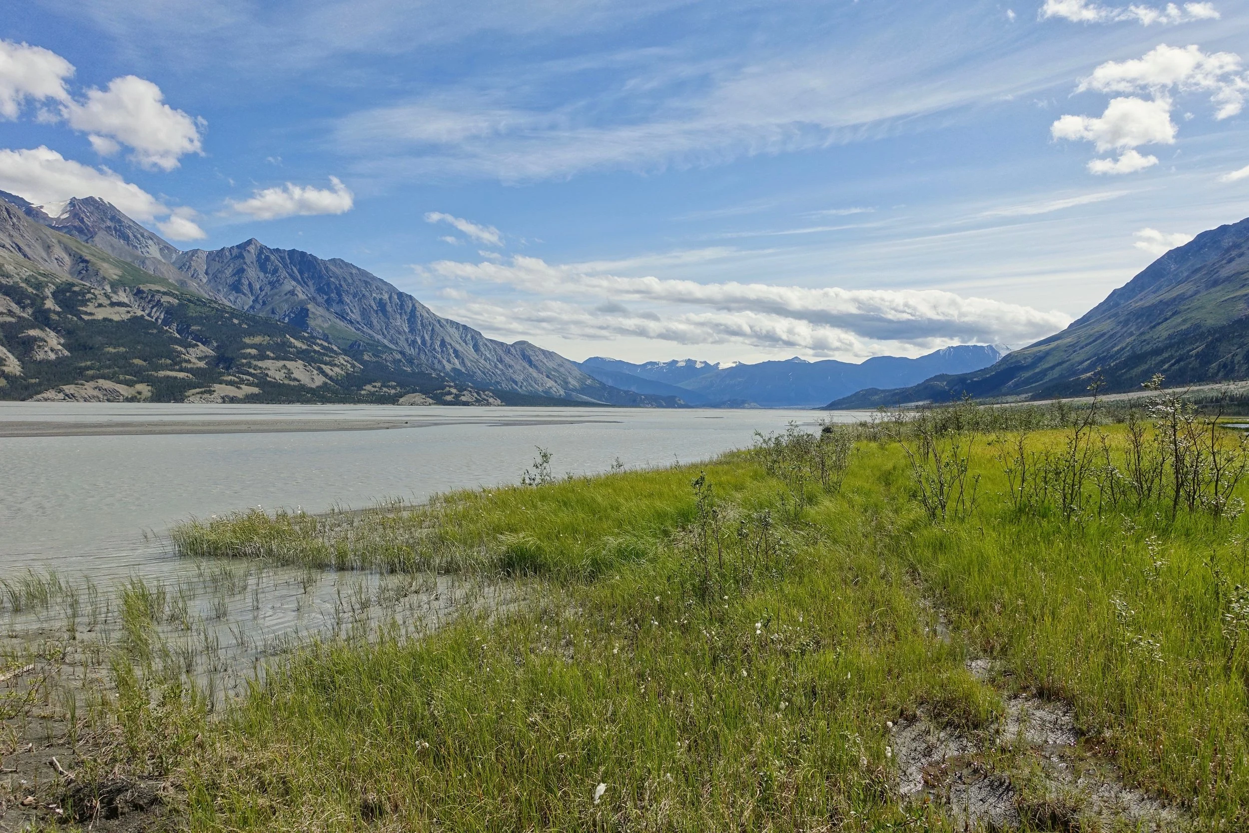 Boggy trail on the hike in the Yukon