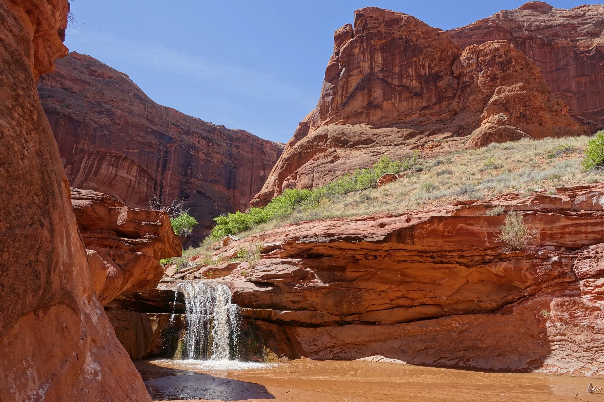 Escalante River on Coyote Gulch hike