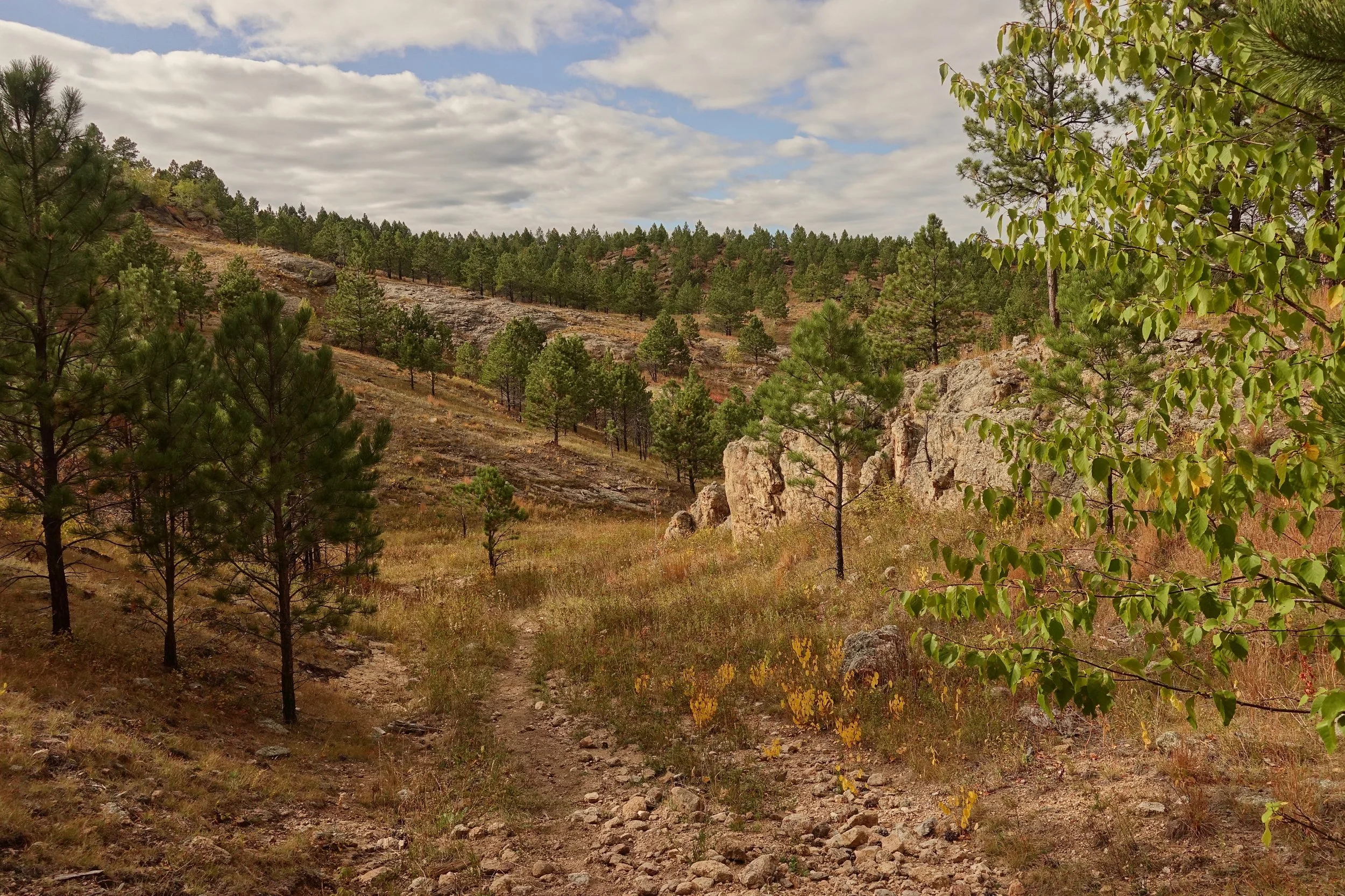 Hiking the Centennial Trail through Custer State Park in the fall