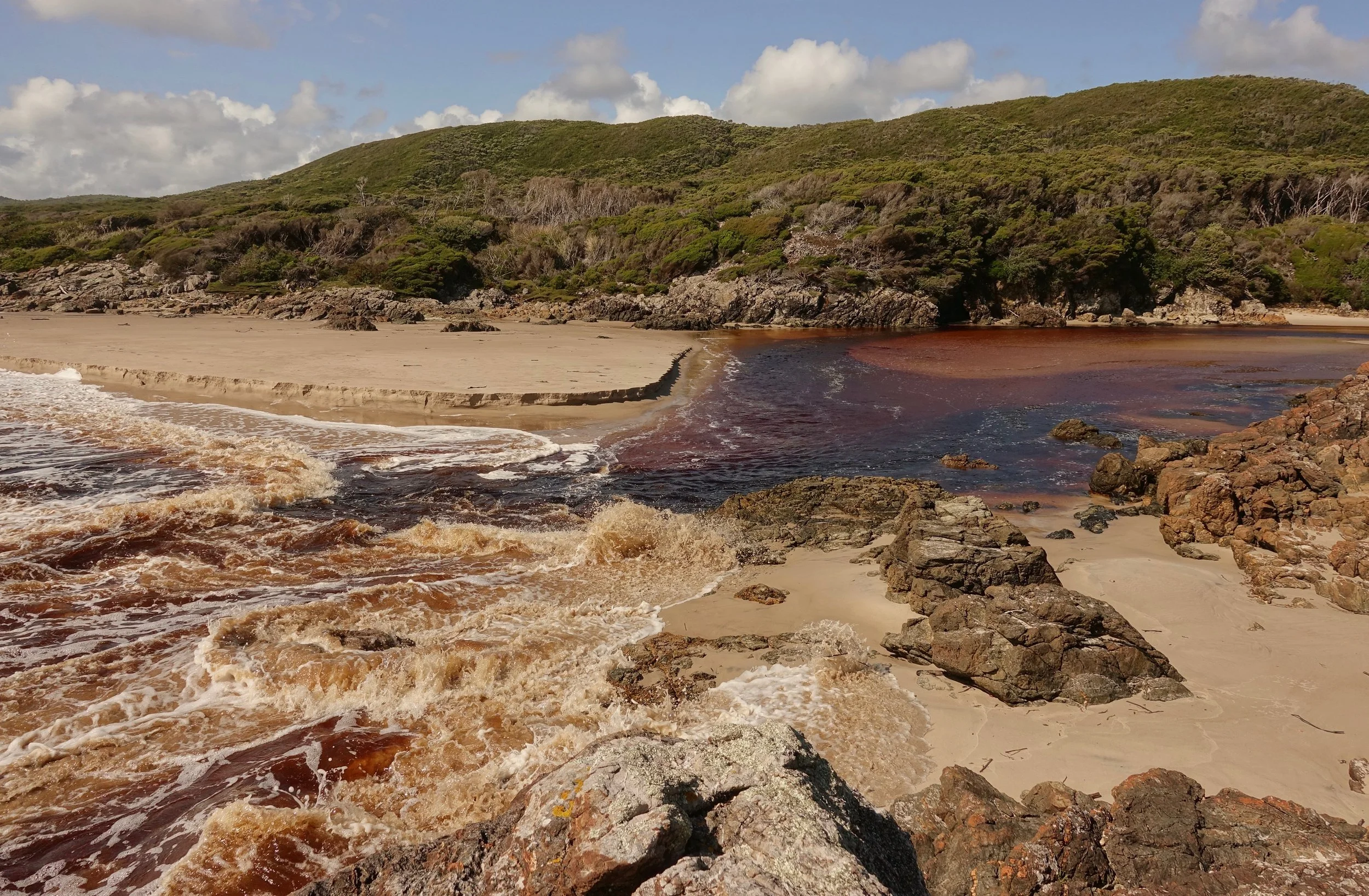 Neilson River on the West Coast of Tasmania