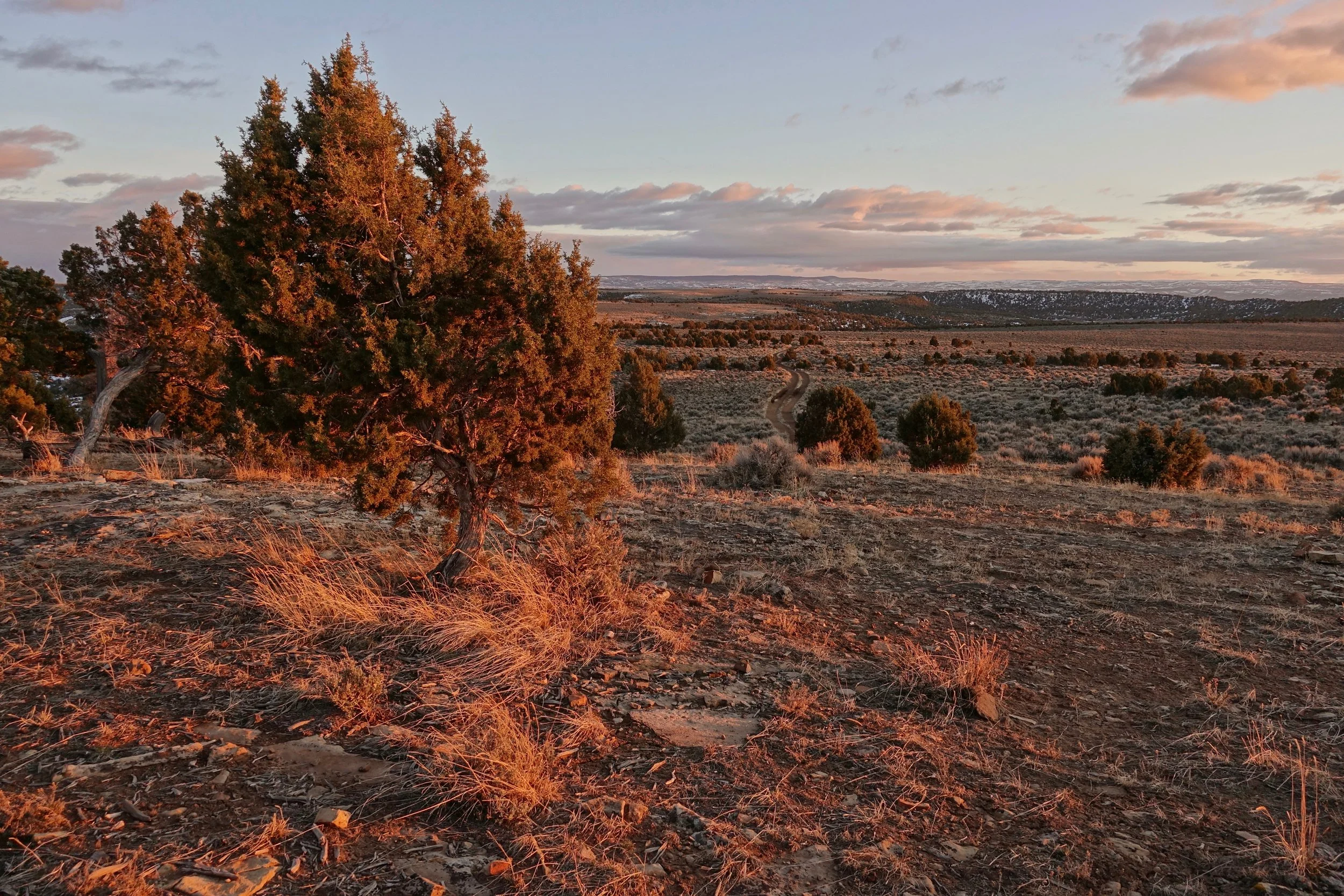 Camp on the Upper Access Road in Black Ridge Canyons Wilderness