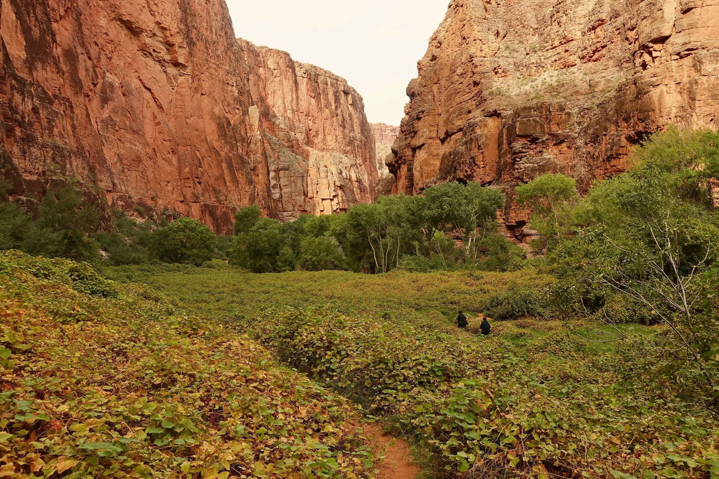 Havasu Canyon Trail in Arizona