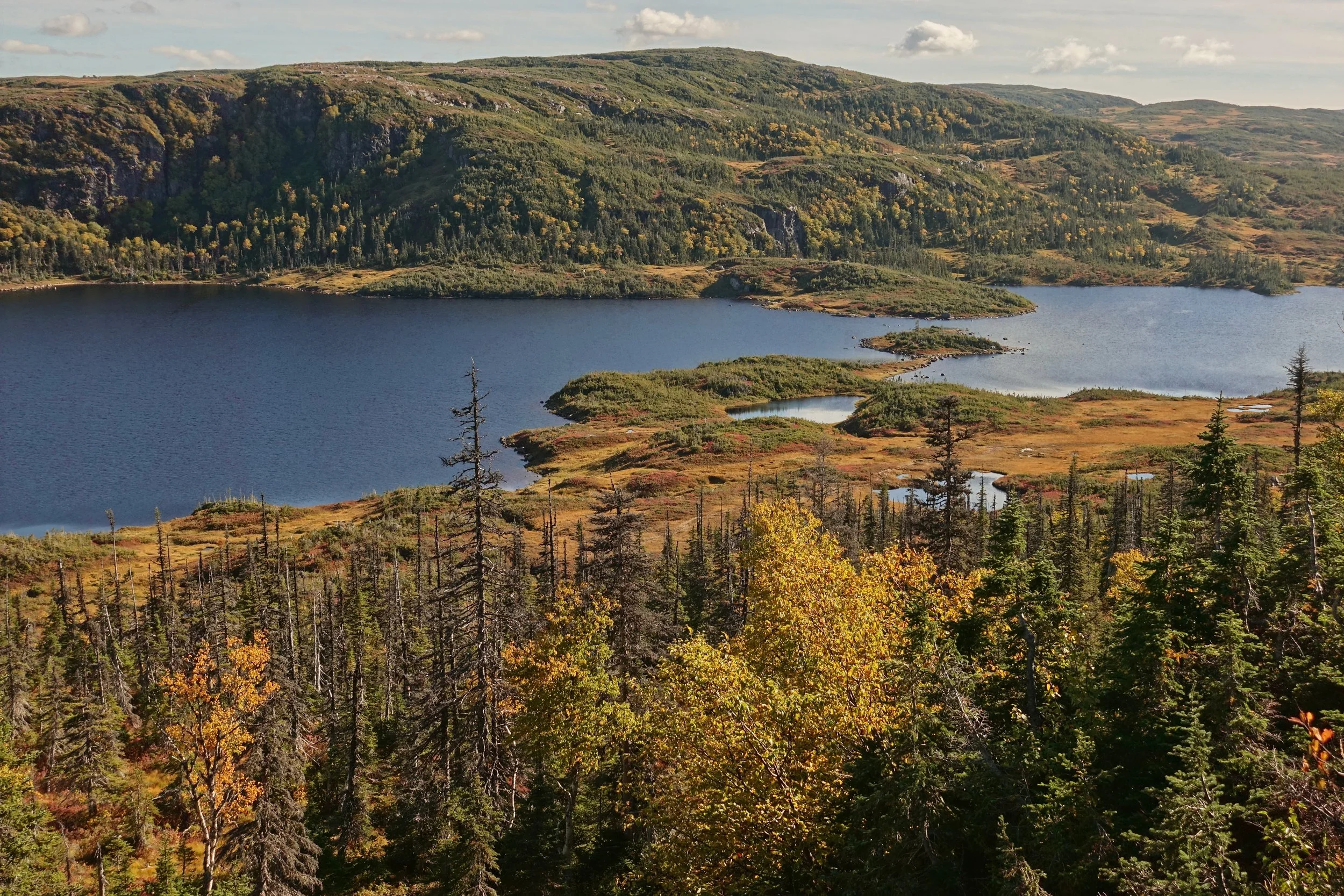Hardings Pond camp on Long Traverse backpacking hike in Gros Morne National Park Newfoundland