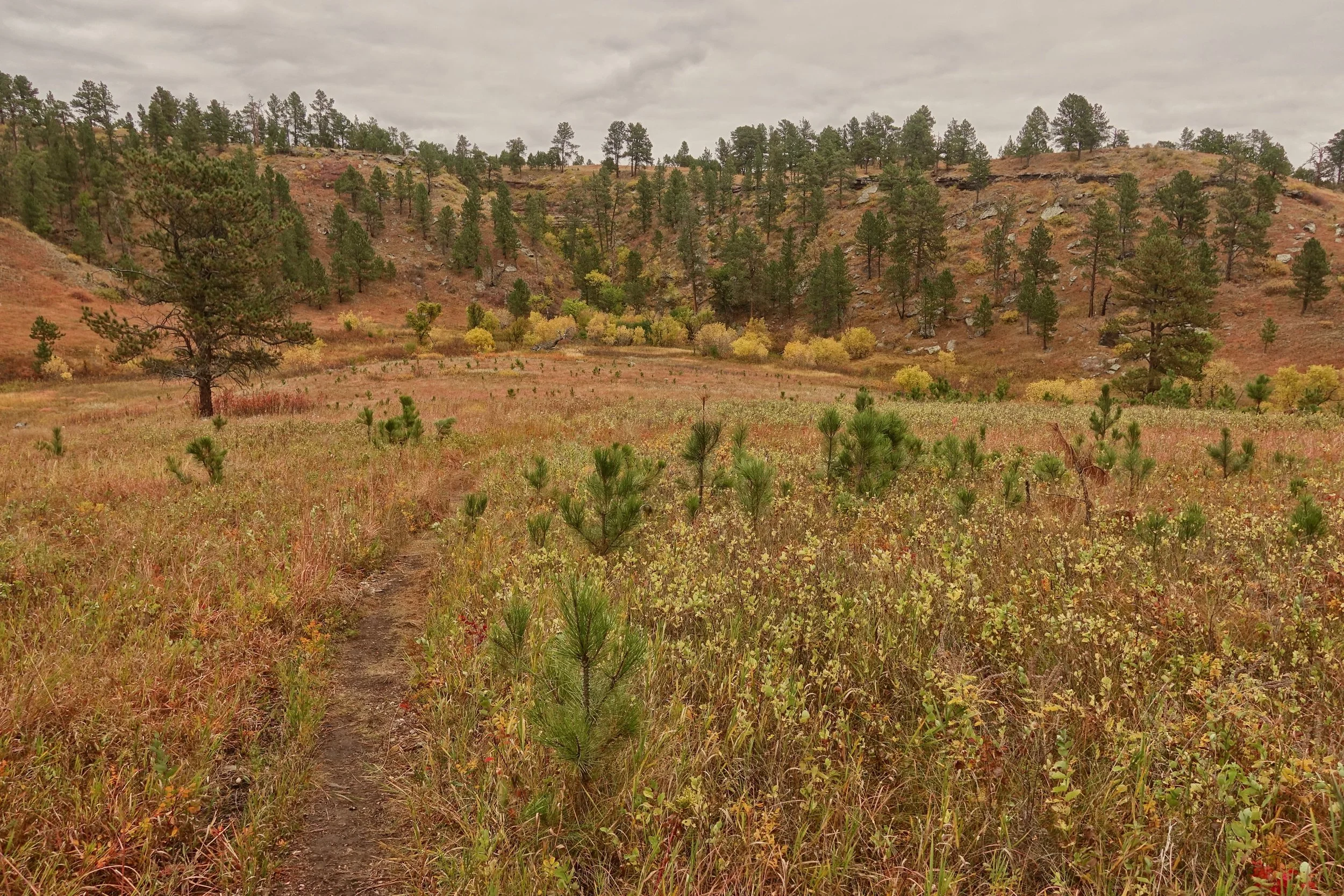 Centennial Trail in South Dakota backpacking