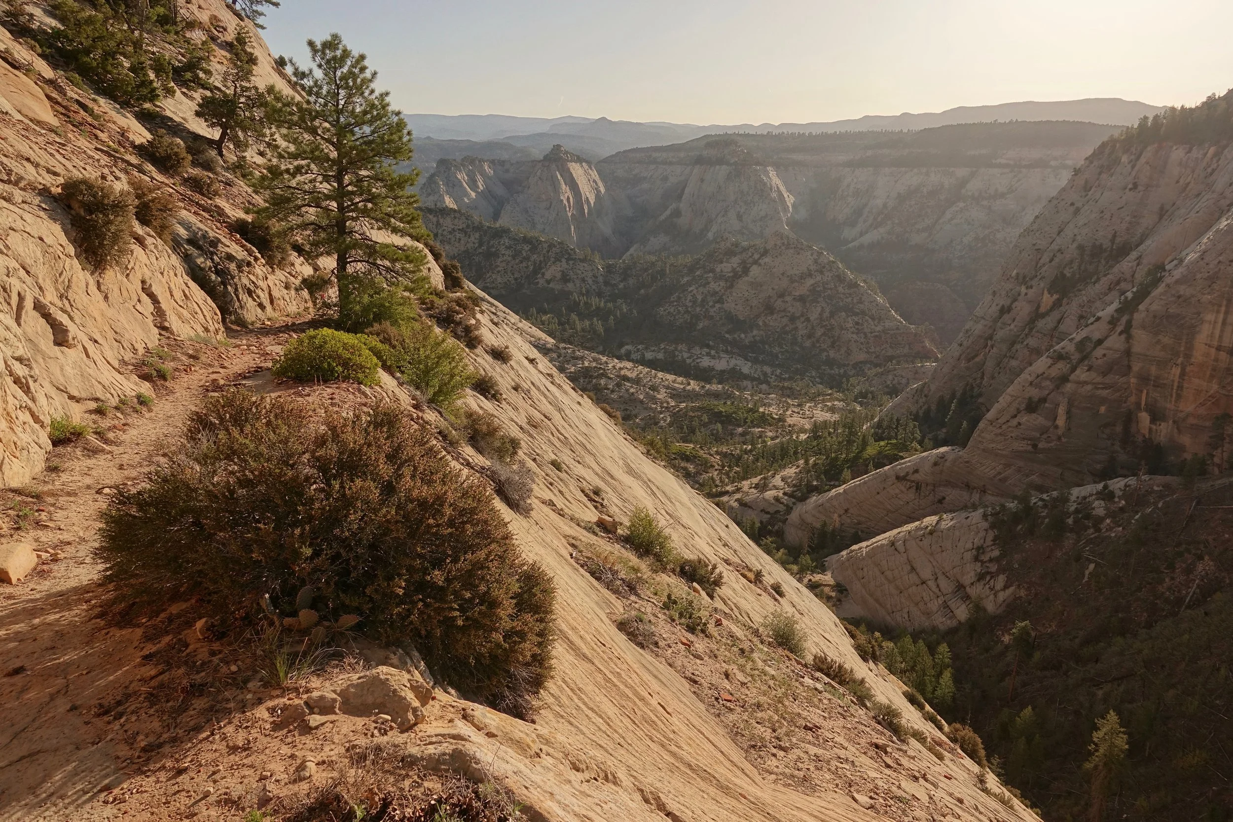The trail en route to West Rim in Zion national park in Utah