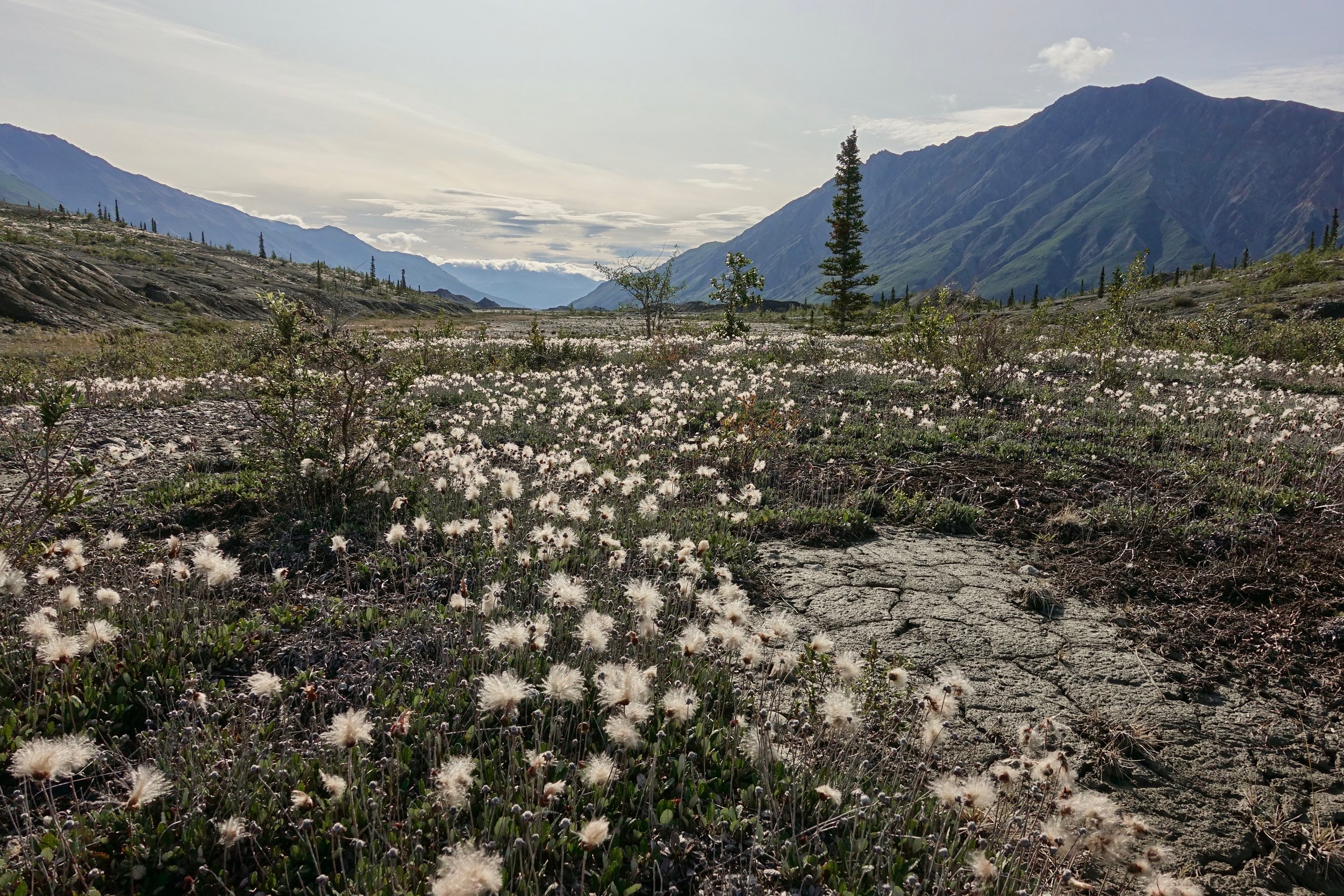 Kaskawulsh river valley in Kluane National Park in the Yukon