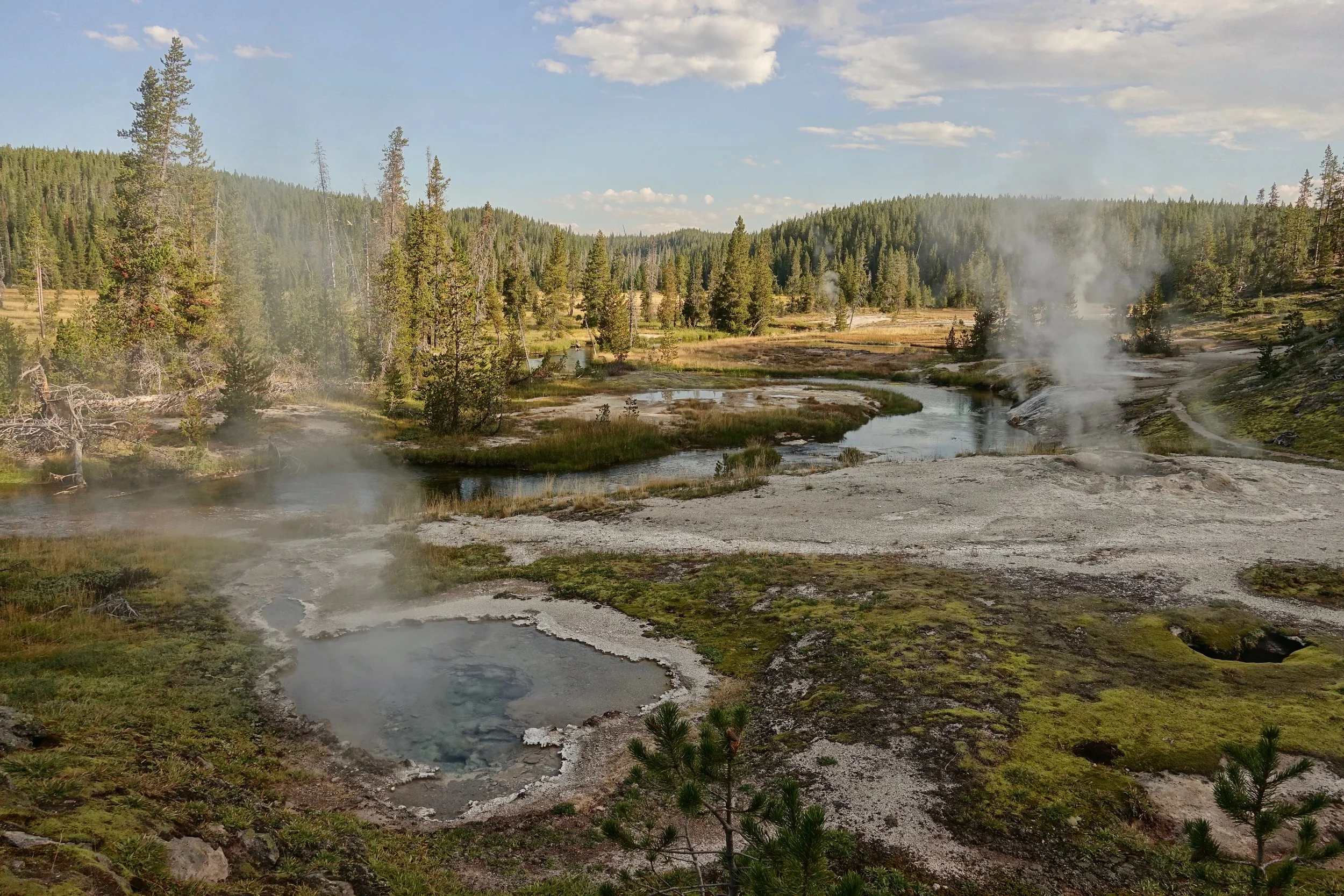 Shoshone Geyser Basin in Yellowstone in early morning