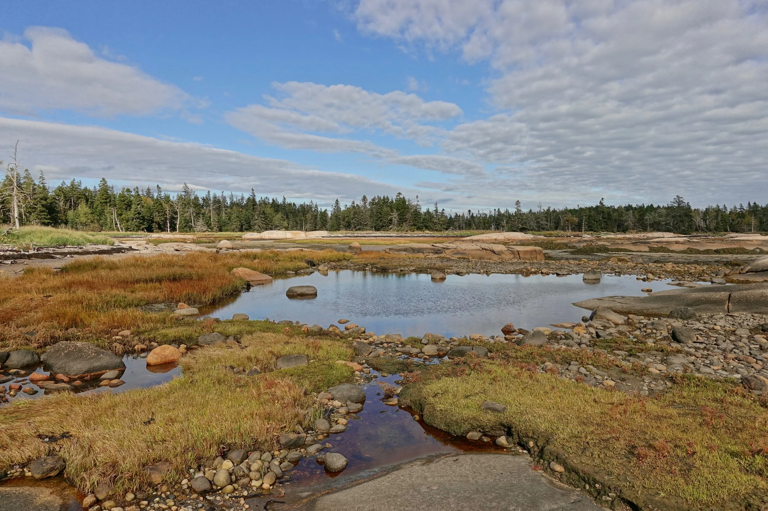 Great Wass Island Preserve hike in Maine