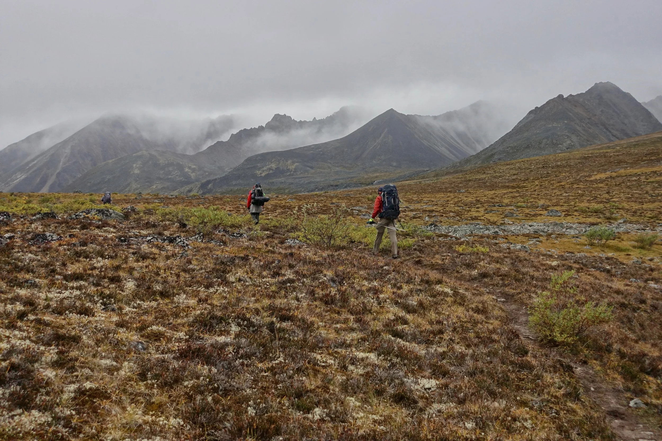 Grizzly to Talus walk in the Tombstones Mountains in the Yukon