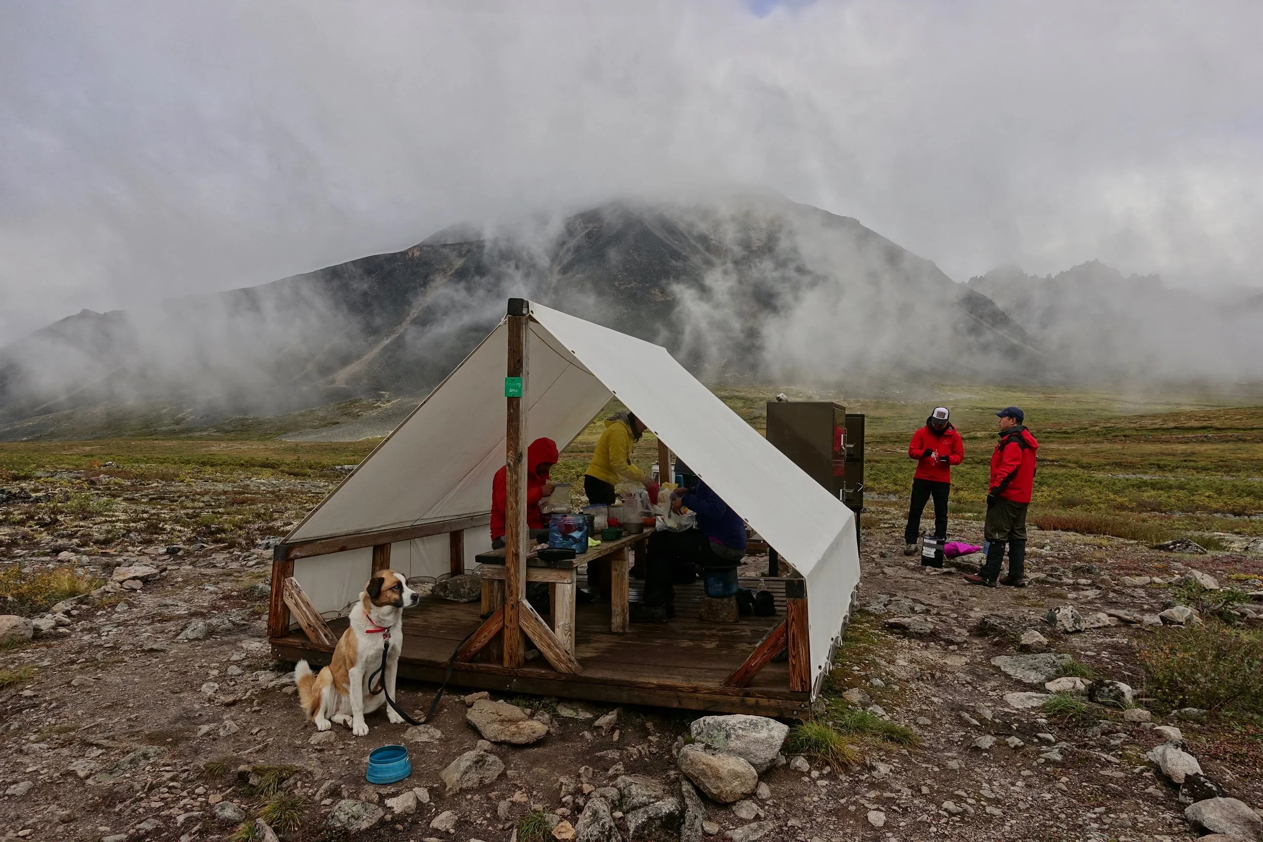 Nootka on the lookout for squirrels